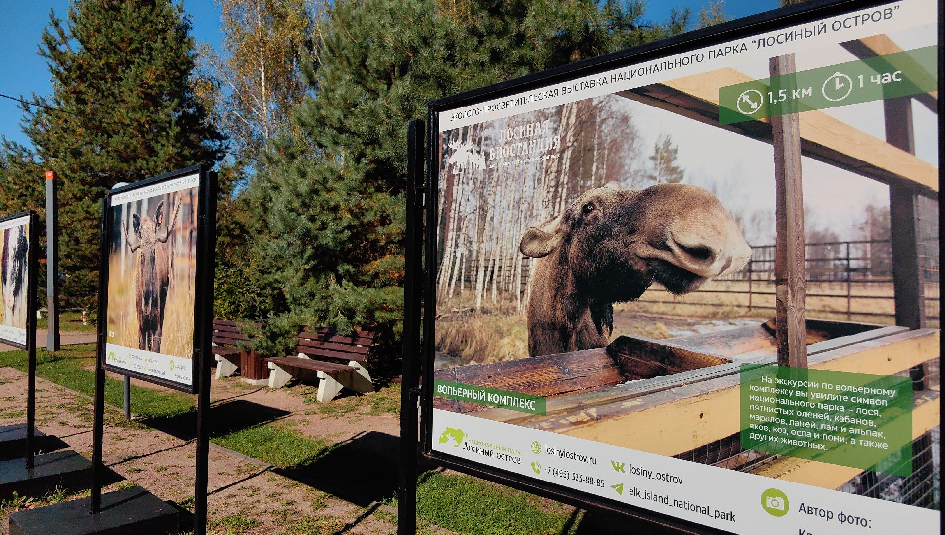 тропа, песок, Дендрарий, лосиный остров, национальный парк,