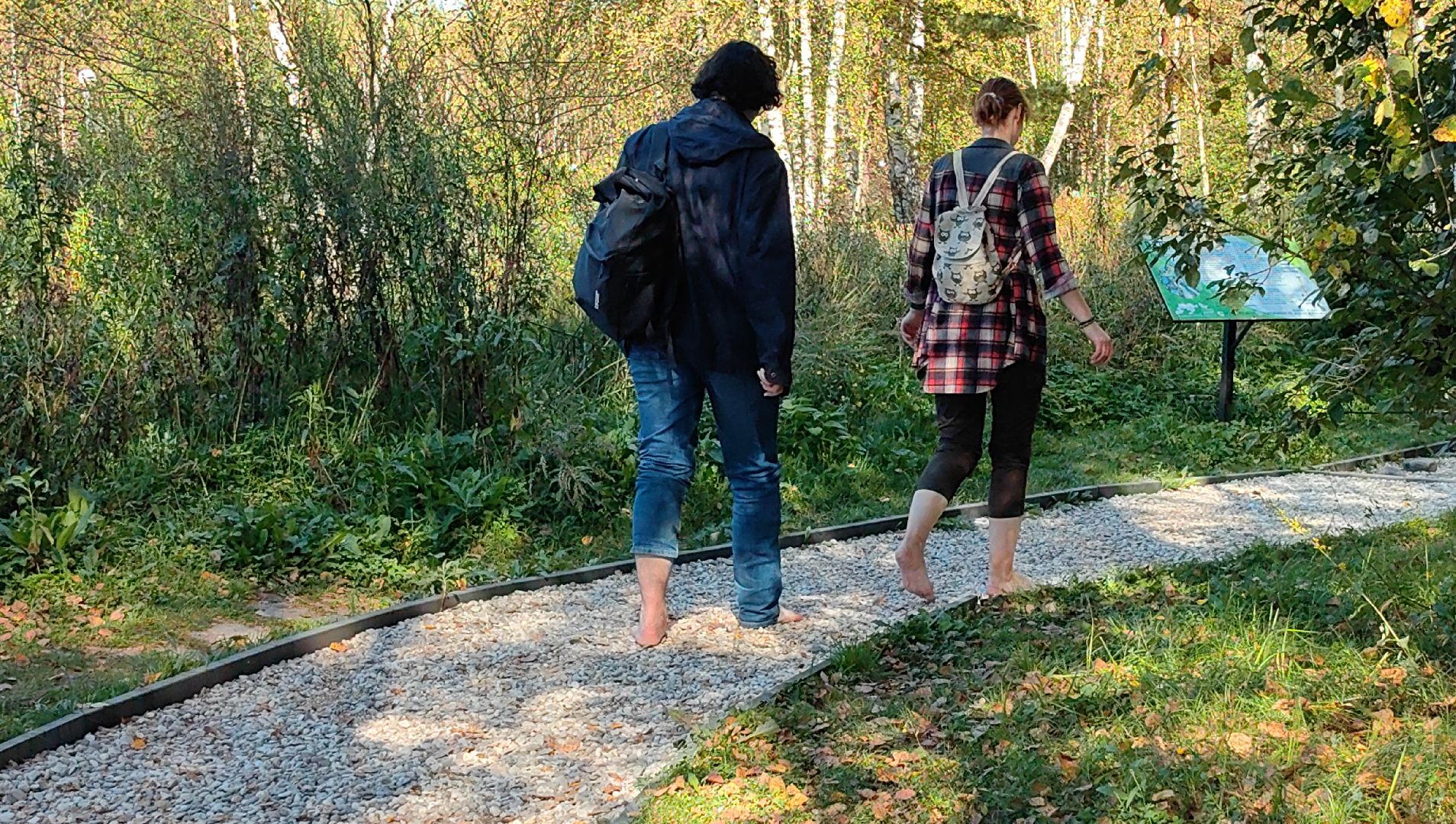 тропа, песок, Дендрарий, лосиный остров, национальный парк,