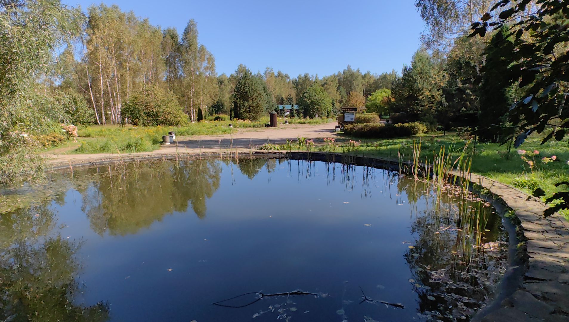 тропа, песок, Дендрарий, лосиный остров, национальный парк,