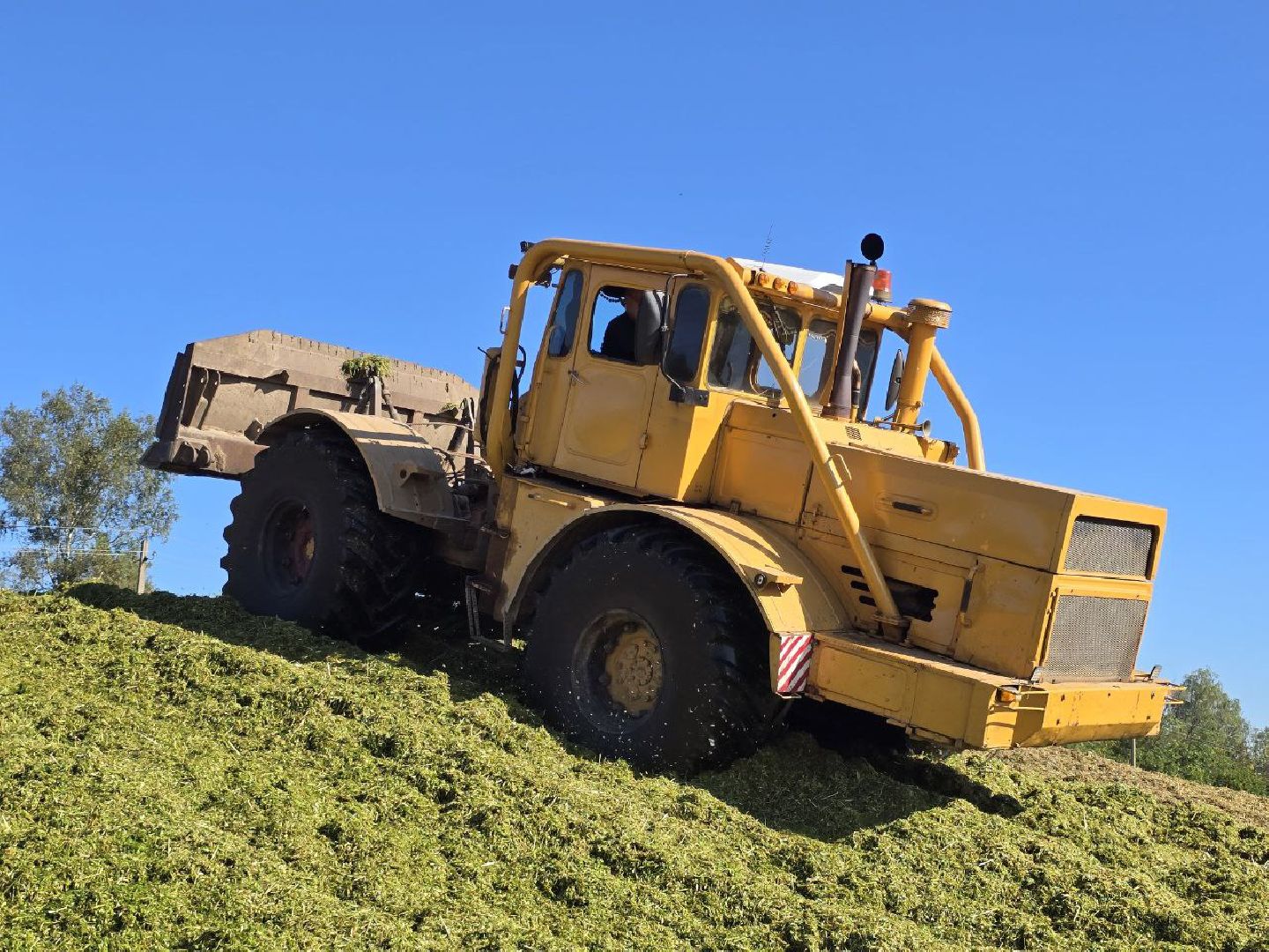 можайск, можайский муниципальный округ, подмосковье, сельское хозяйство, уборочная кампания, сельхозпредприятия, сбору урожая, зерновые культуры, зернобобовые культуры,