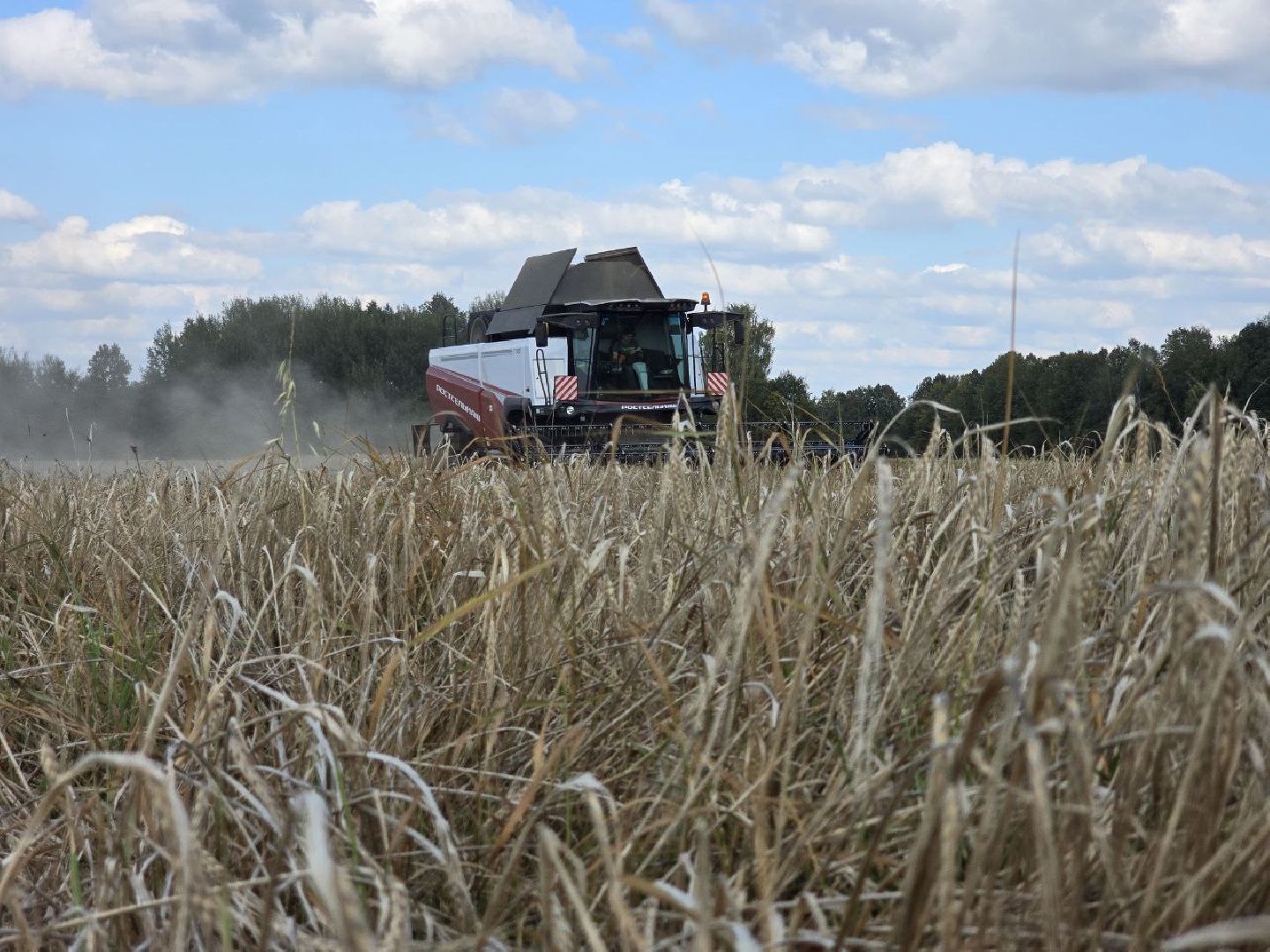 можайск, можайский муниципальный округ, подмосковье, сельское хозяйство, уборочная кампания, сельхозпредприятия, сбору урожая, зерновые культуры, зернобобовые культуры,