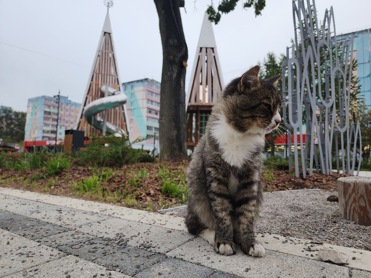 Егорьевск , Подмосковье , Московская область ,