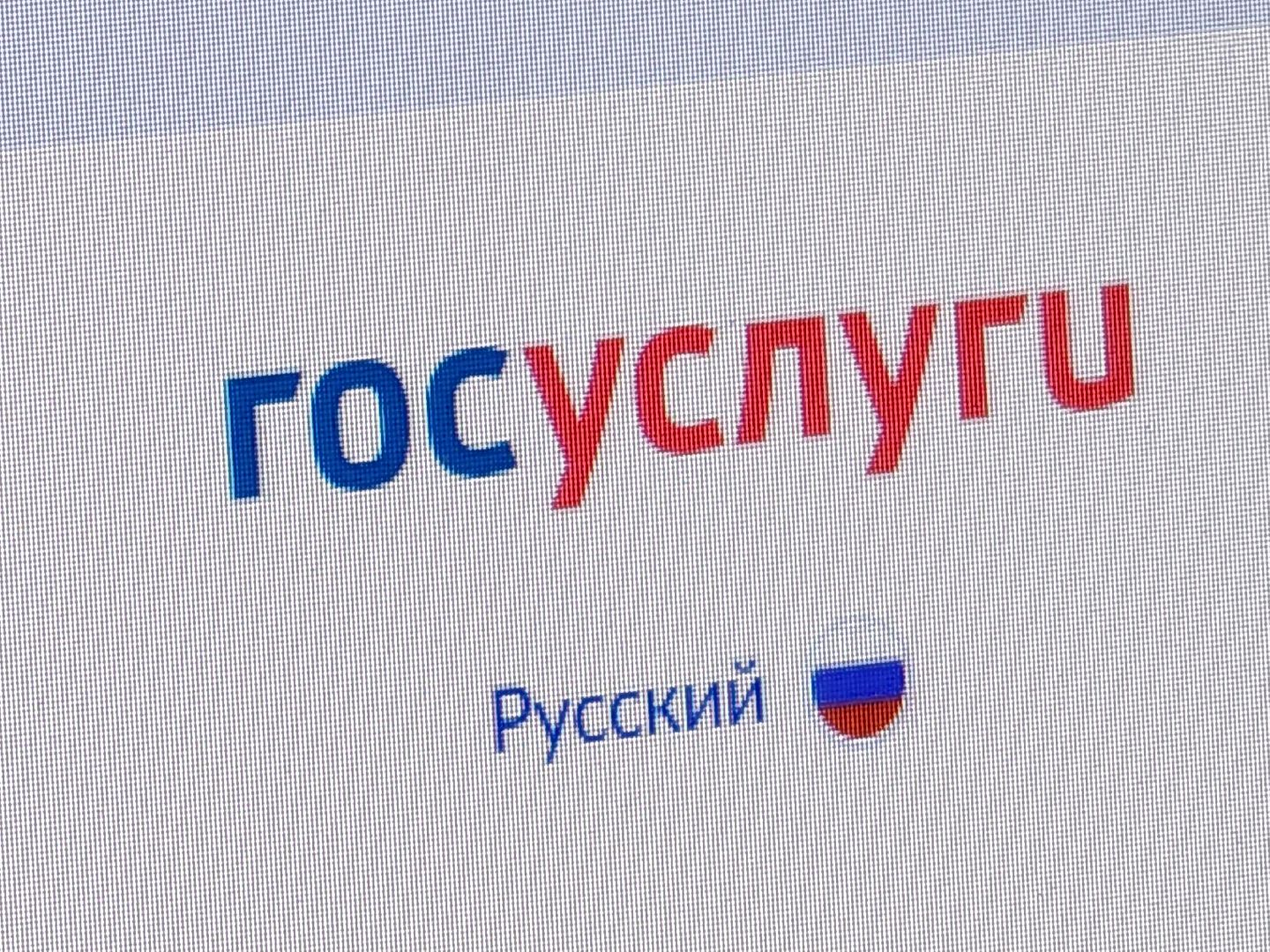 Подмосковье, Московская область, выборы, Шатура, шатура выбирает,