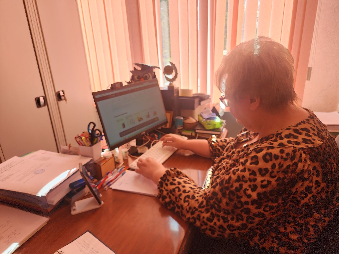 Шатура, Подмосковье, Московская область, выборы, шатура выбирает,