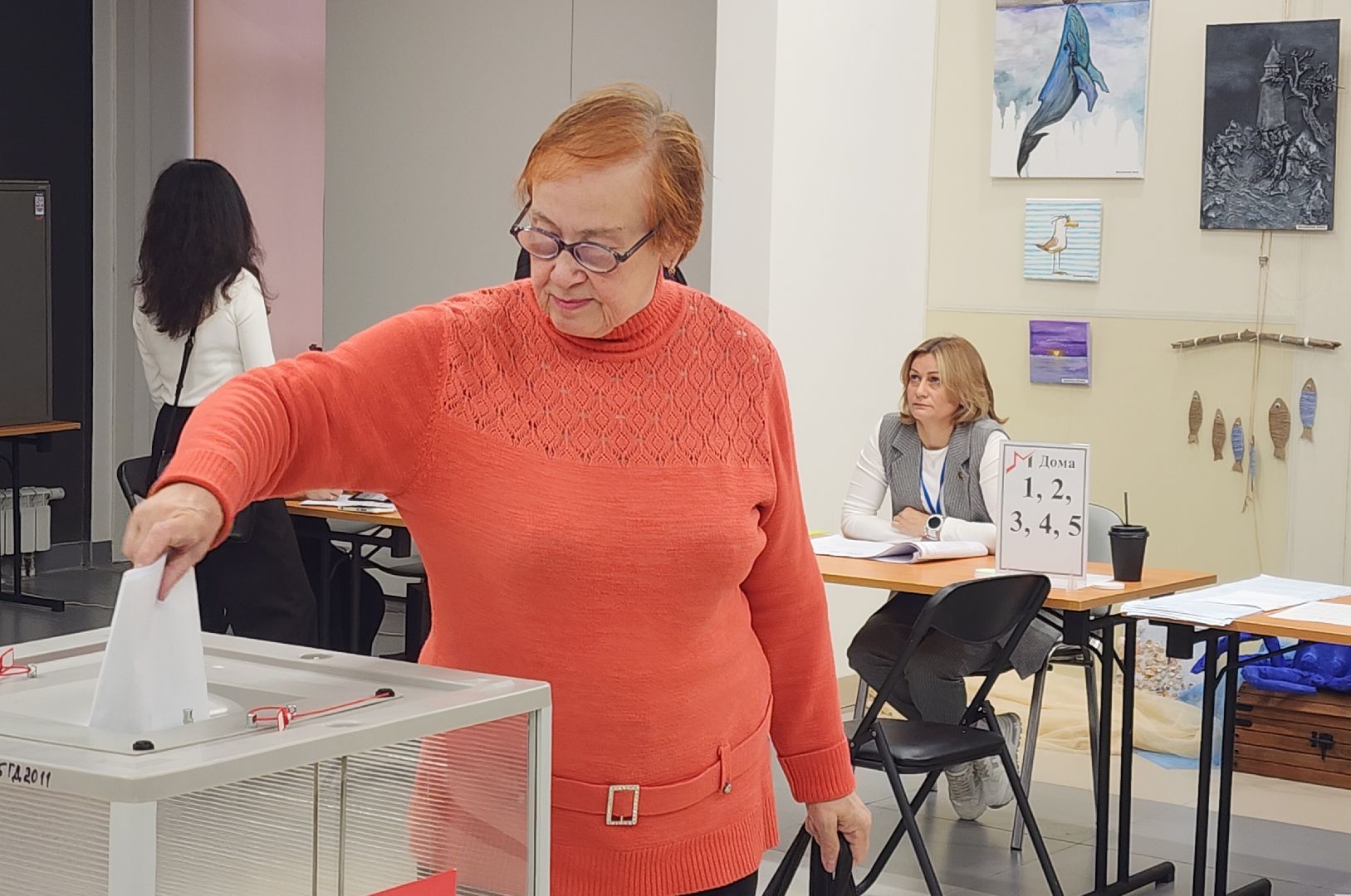 Выборы, Общество ,