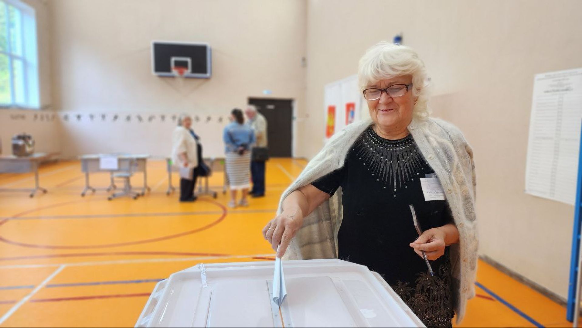 Дмитров, Выборы, Совет депутатов,