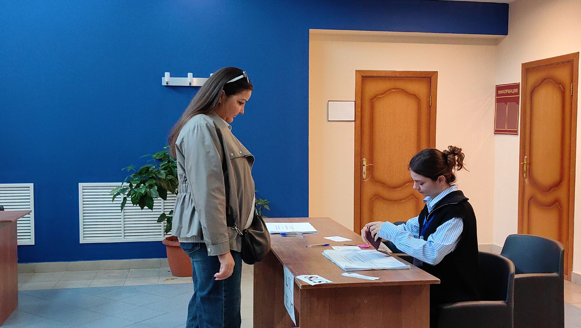 выборы, совет депутатов, уик,