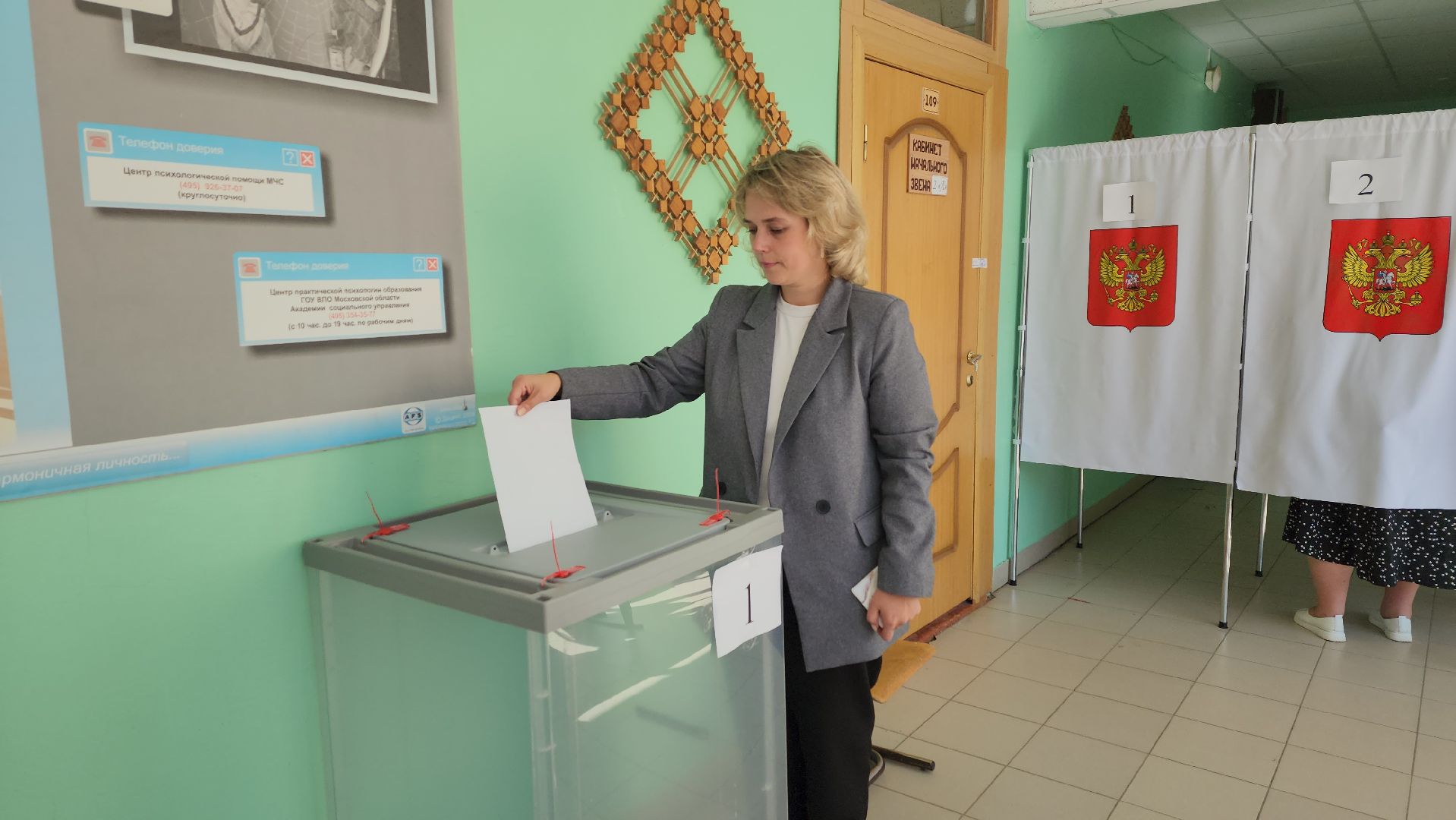 луховицы, выборы, выборы в совет депутатов, довыборы,