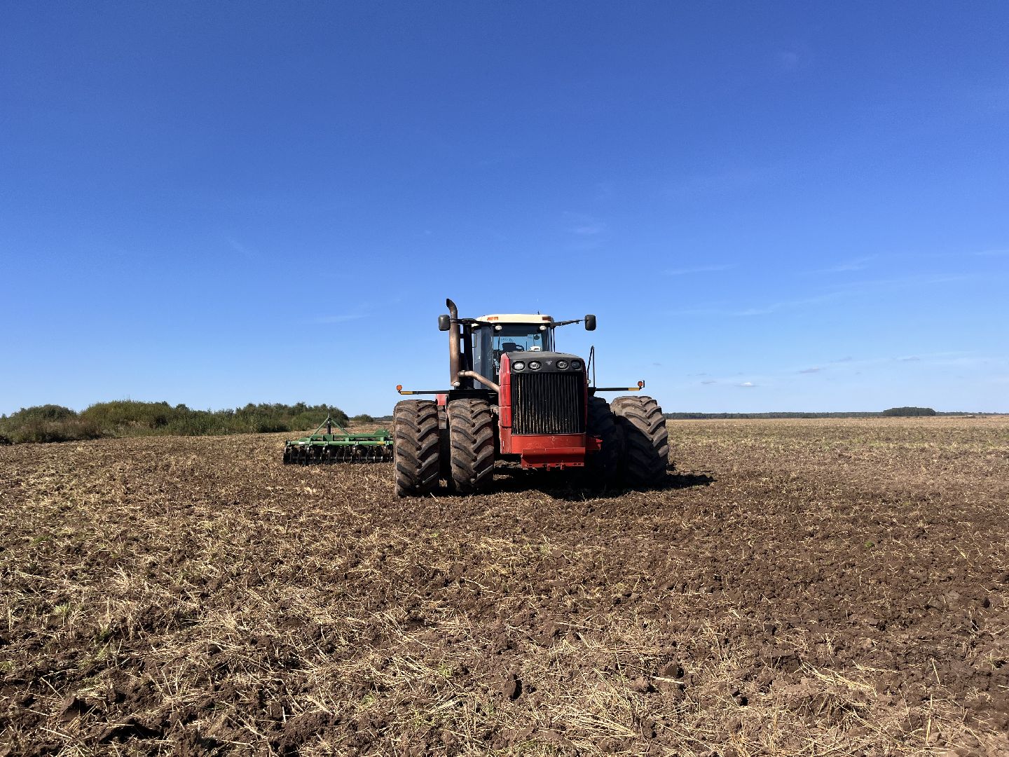 шатура, пышлицы, сбор урожая, Сбор рапса, шатура новости, сельское хозяйство, сельскоехозяйствоподмосковья,