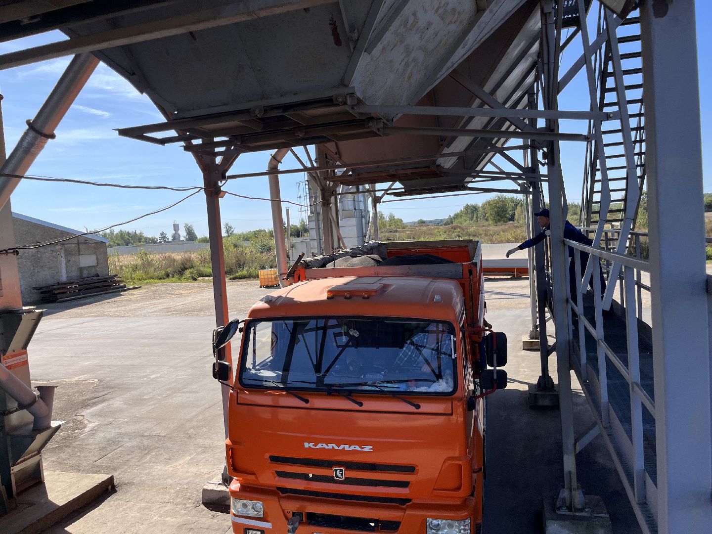 шатура, пышлицы, сбор урожая, Сбор рапса, шатура новости, сельское хозяйство, сельскоехозяйствоподмосковья,