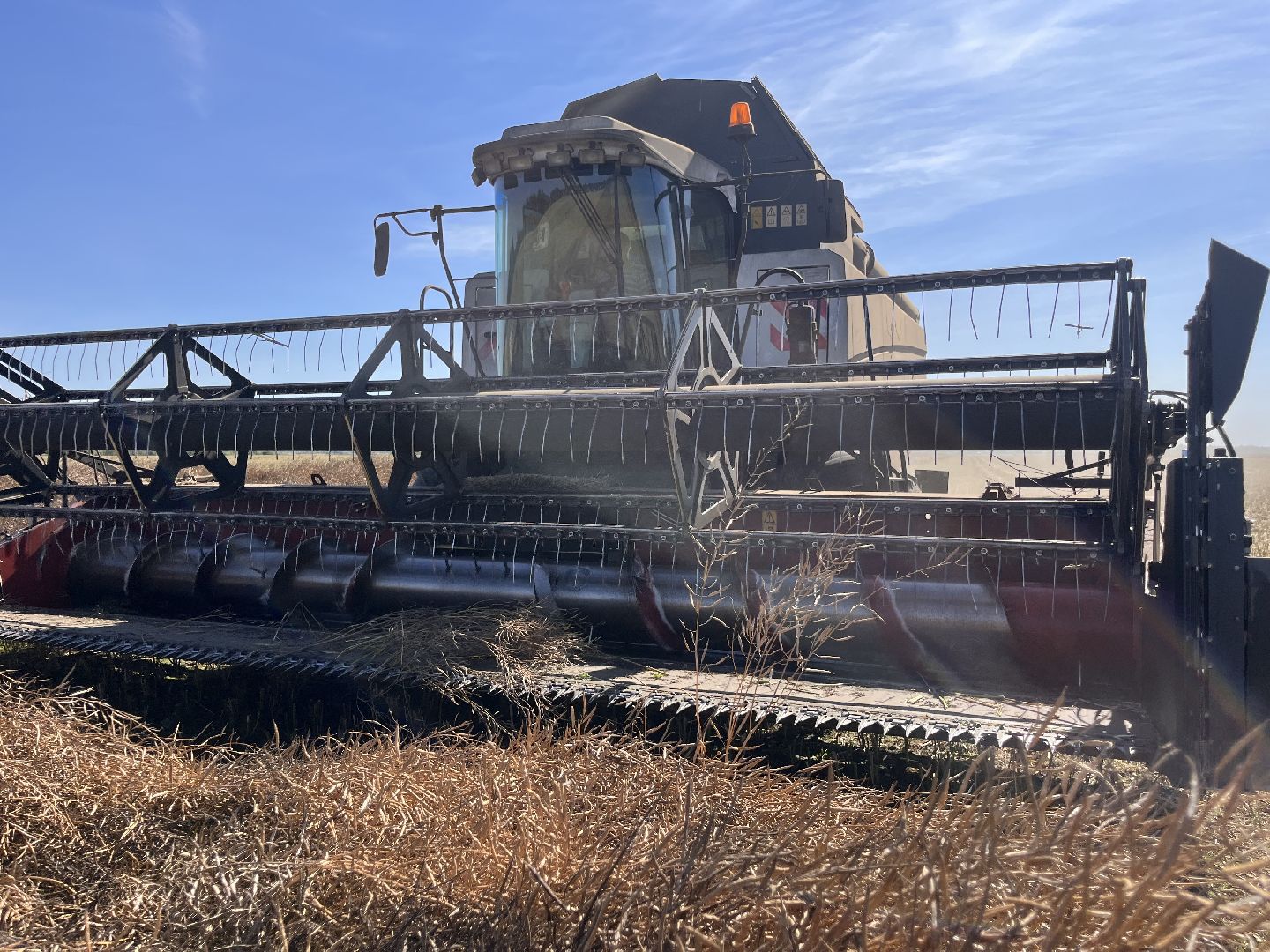 шатура, пышлицы, сбор урожая, Сбор рапса, шатура новости, сельское хозяйство, сельскоехозяйствоподмосковья,