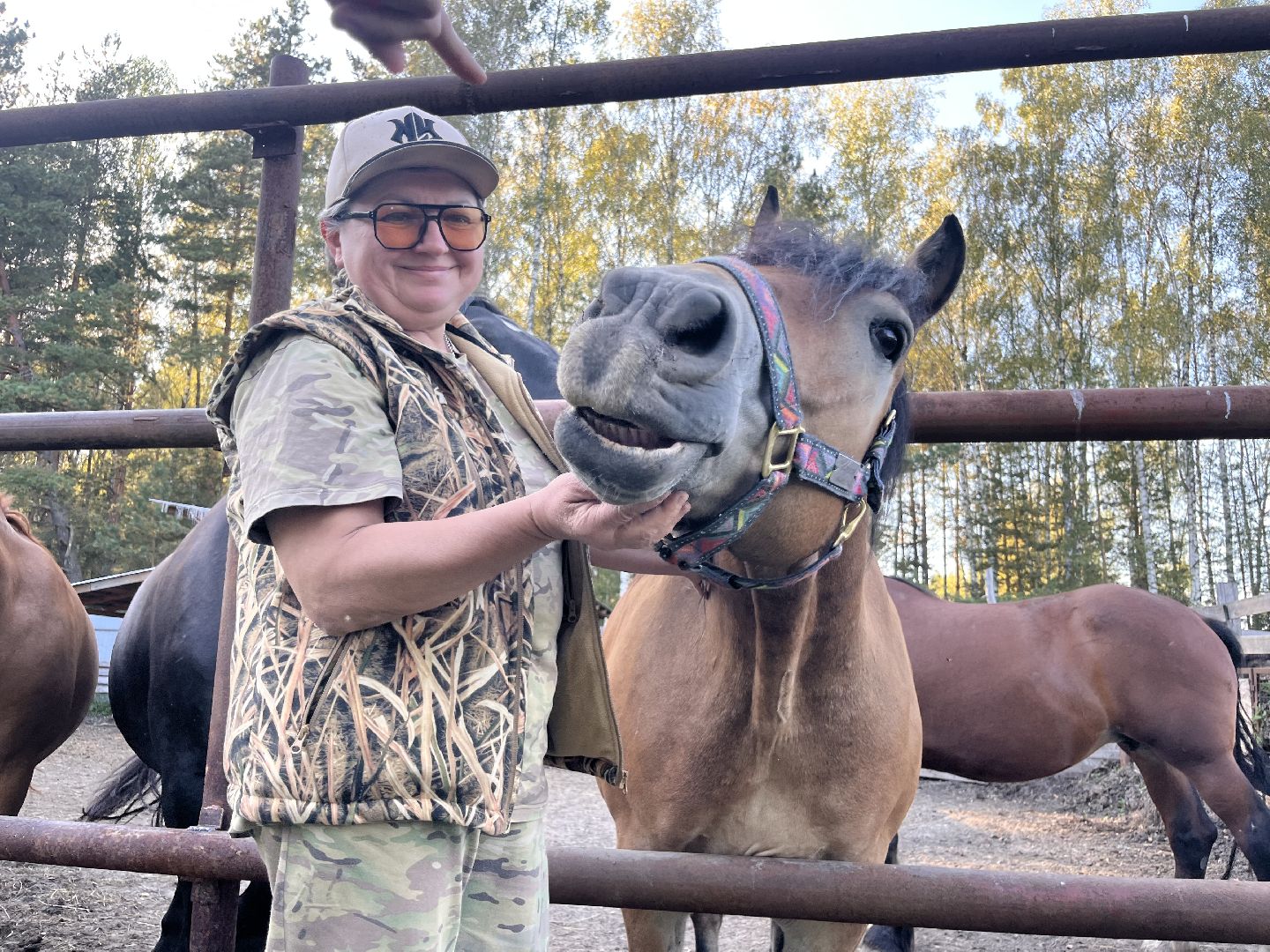 шатура, помощь животным, лошади,