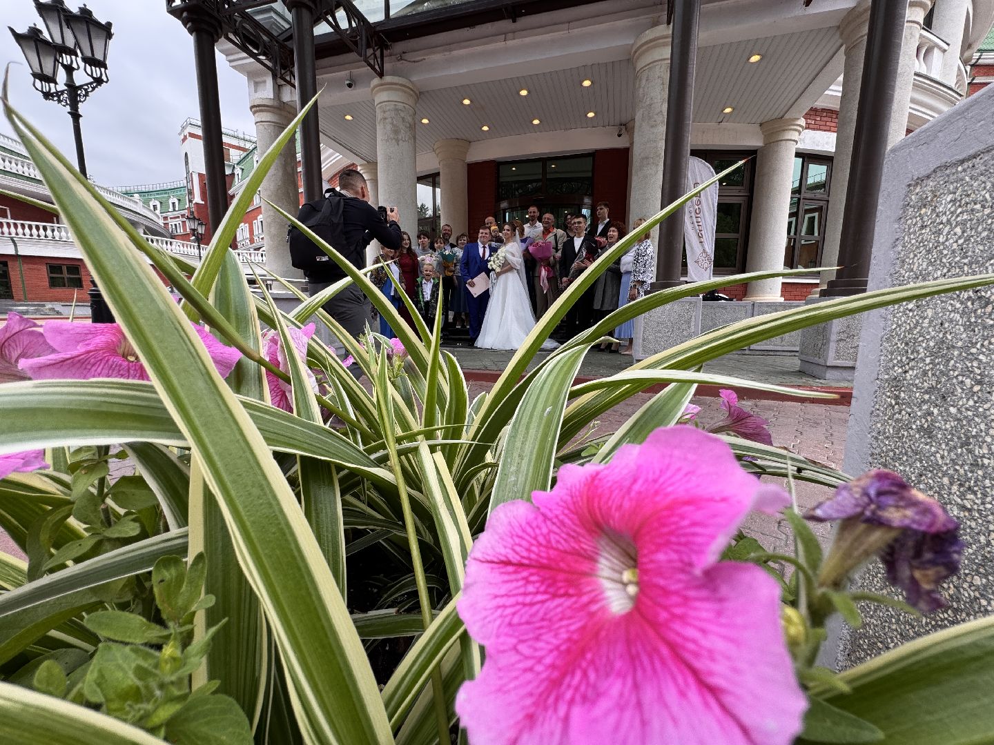 Выездная регистрация, Свадьба в Подмосковье, Молодожены,