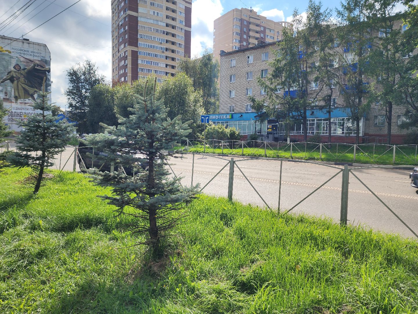 солнечногорск, жители , благоустройство , тротуар,