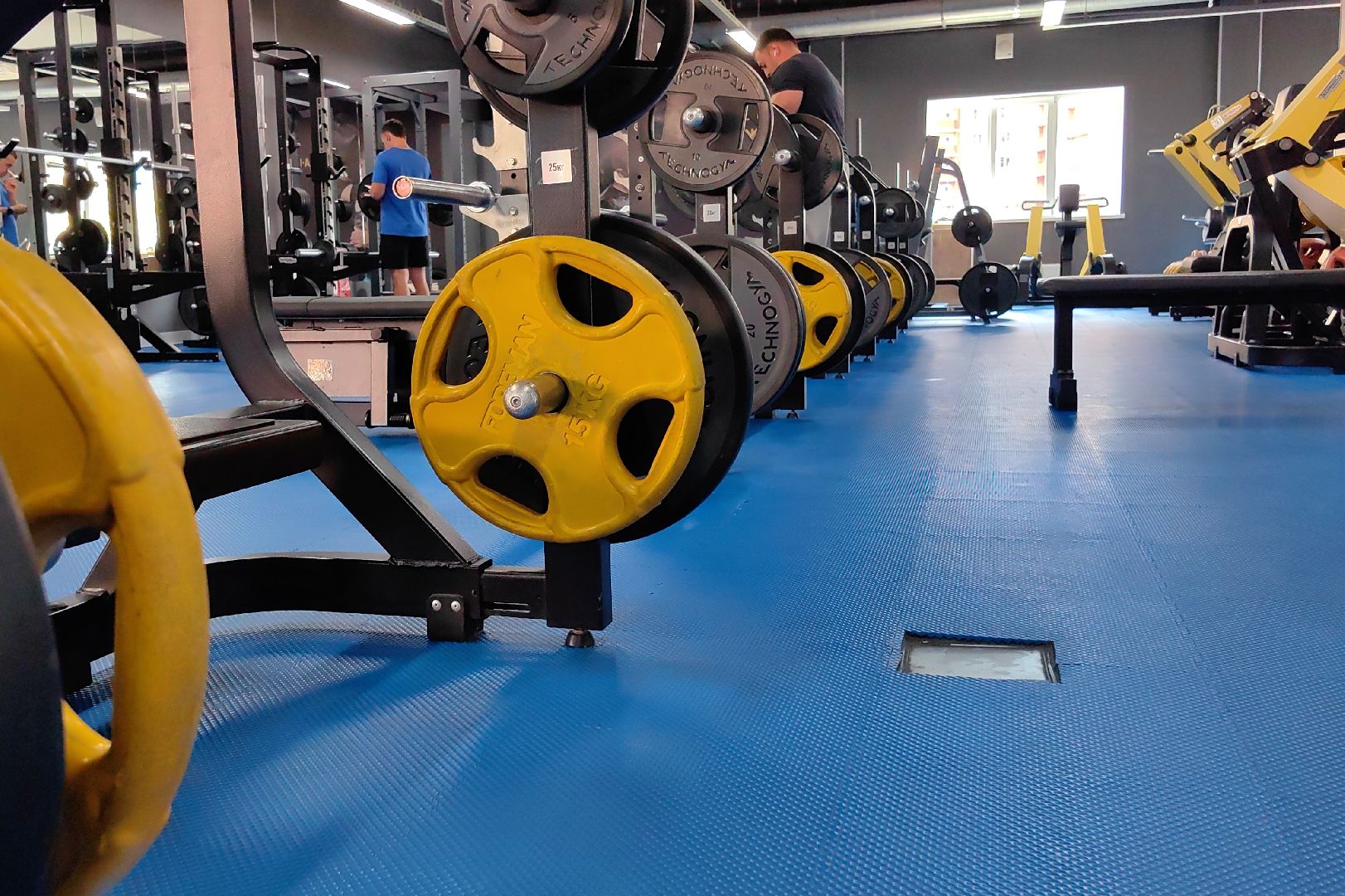 выборы, госуслуги, спортсменка,