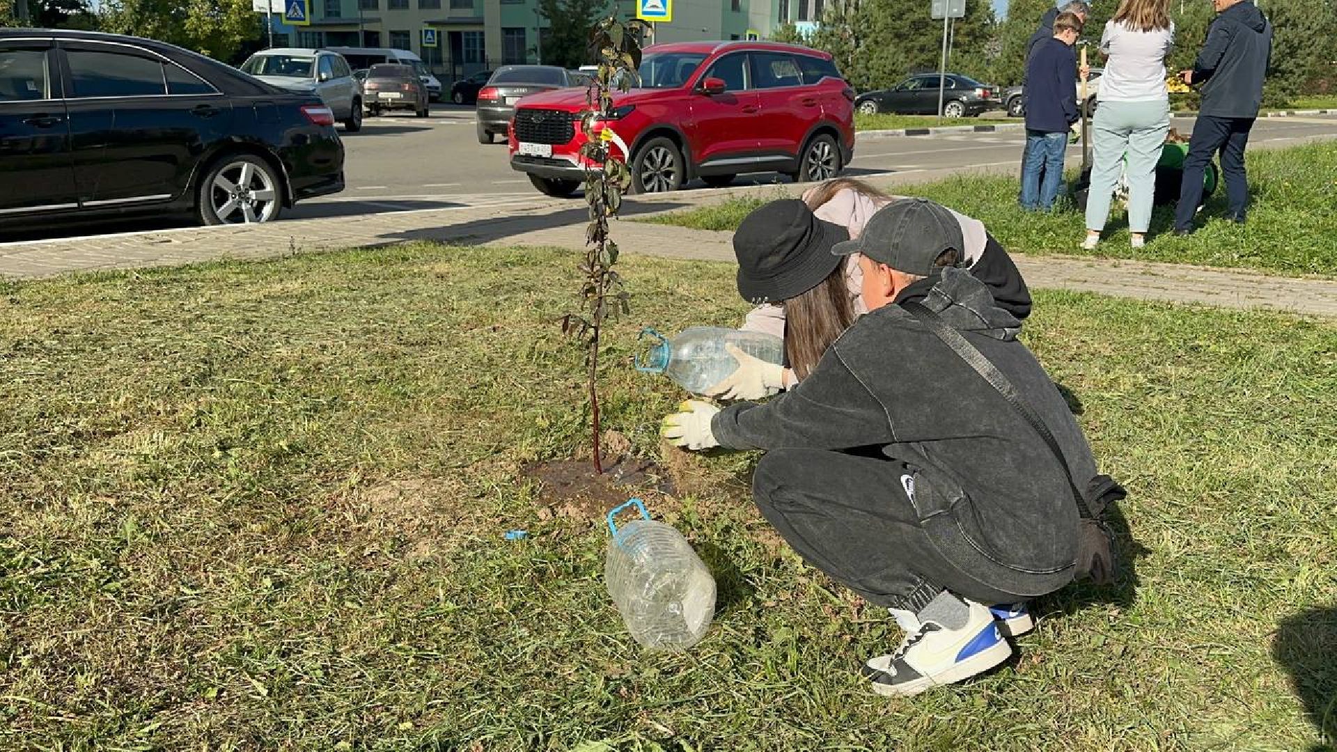 сохраним лес вместе, домодедово, озеленение,