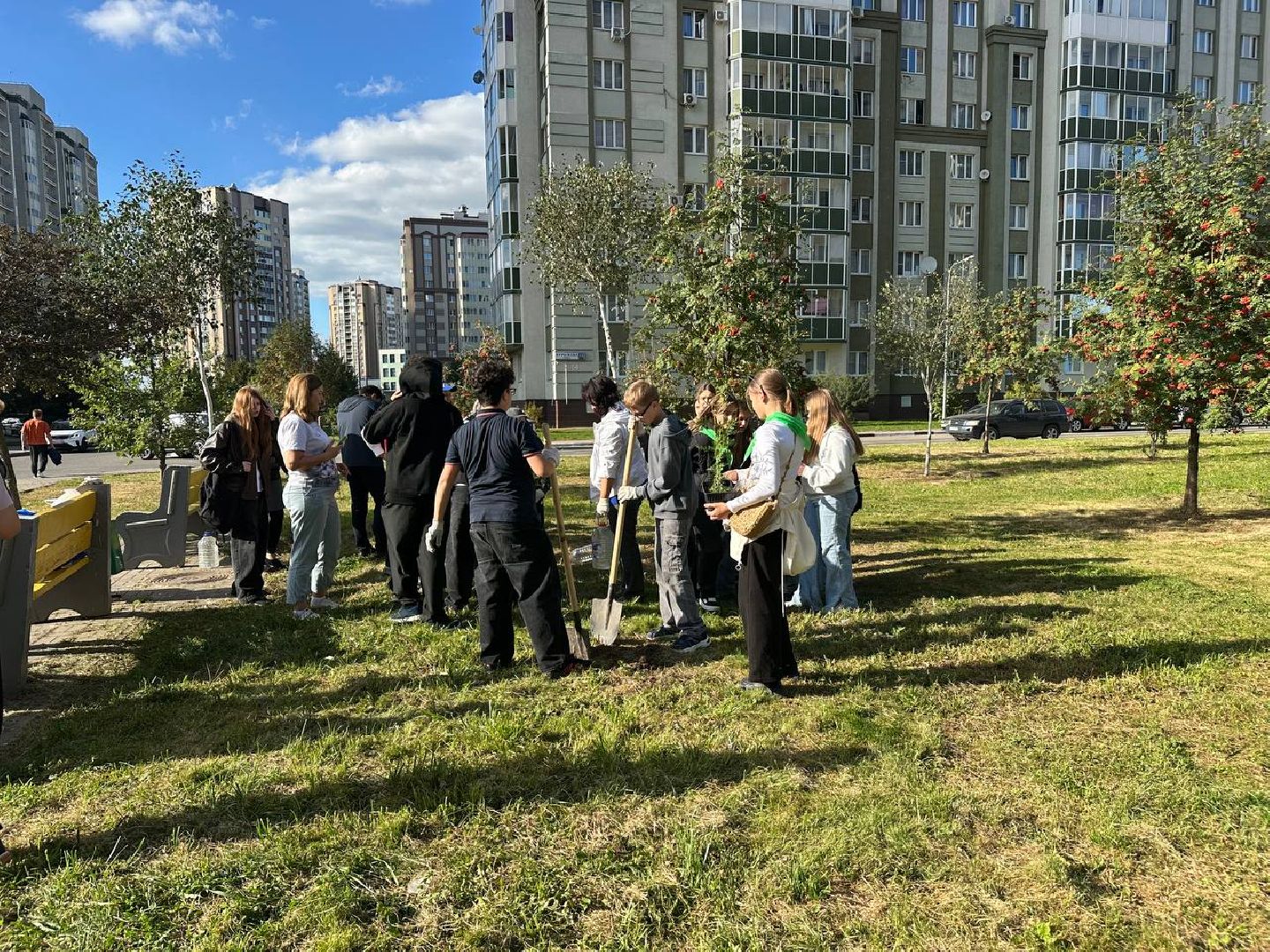 сохраним лес вместе, домодедово, озеленение,