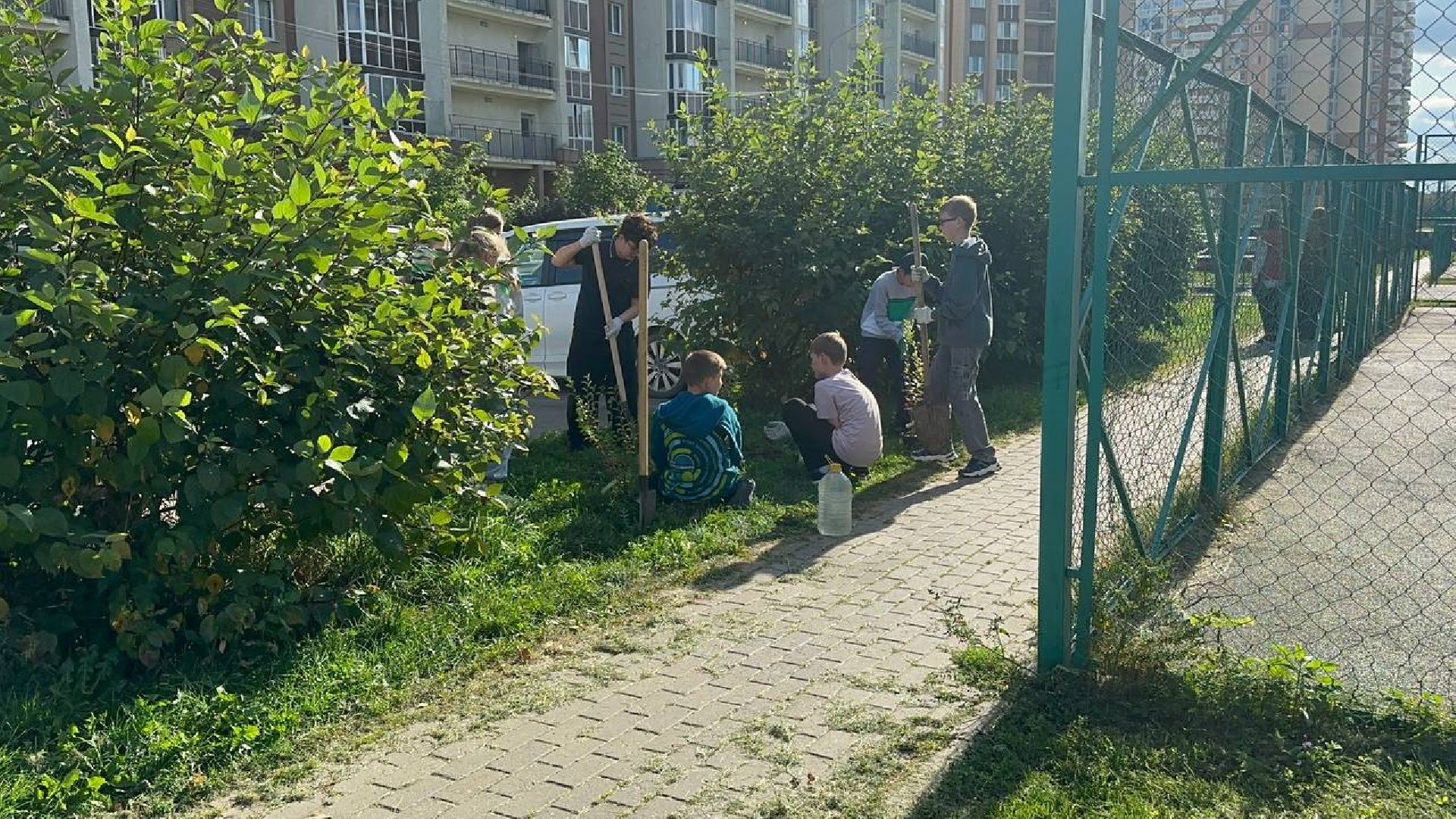 сохраним лес вместе, домодедово, озеленение,