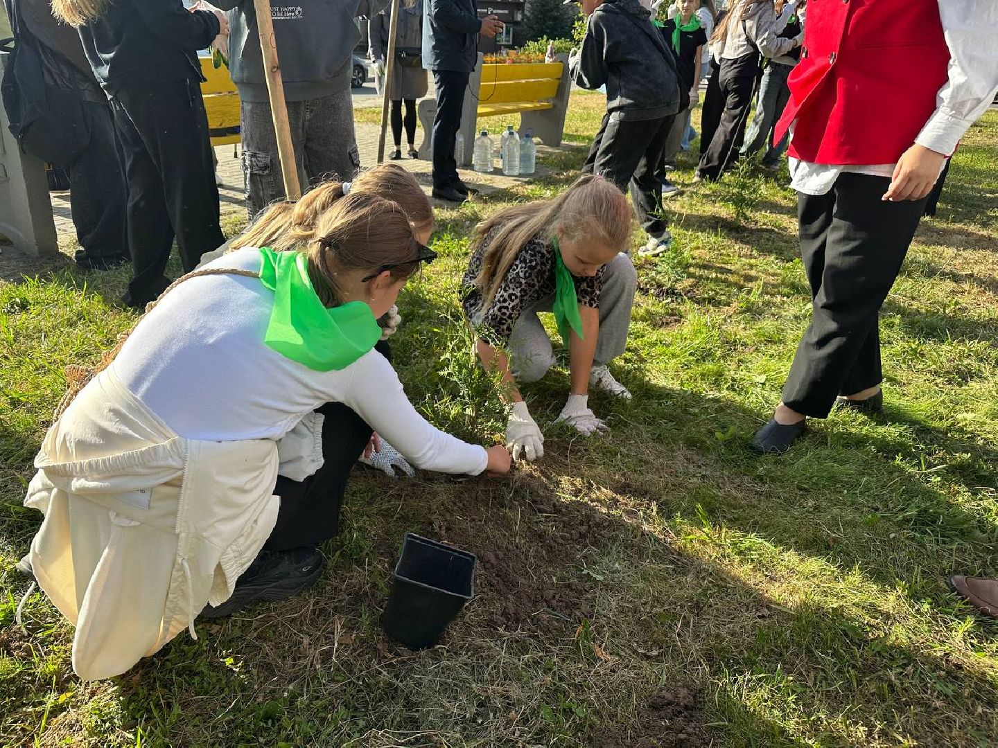 сохраним лес вместе, домодедово, озеленение,