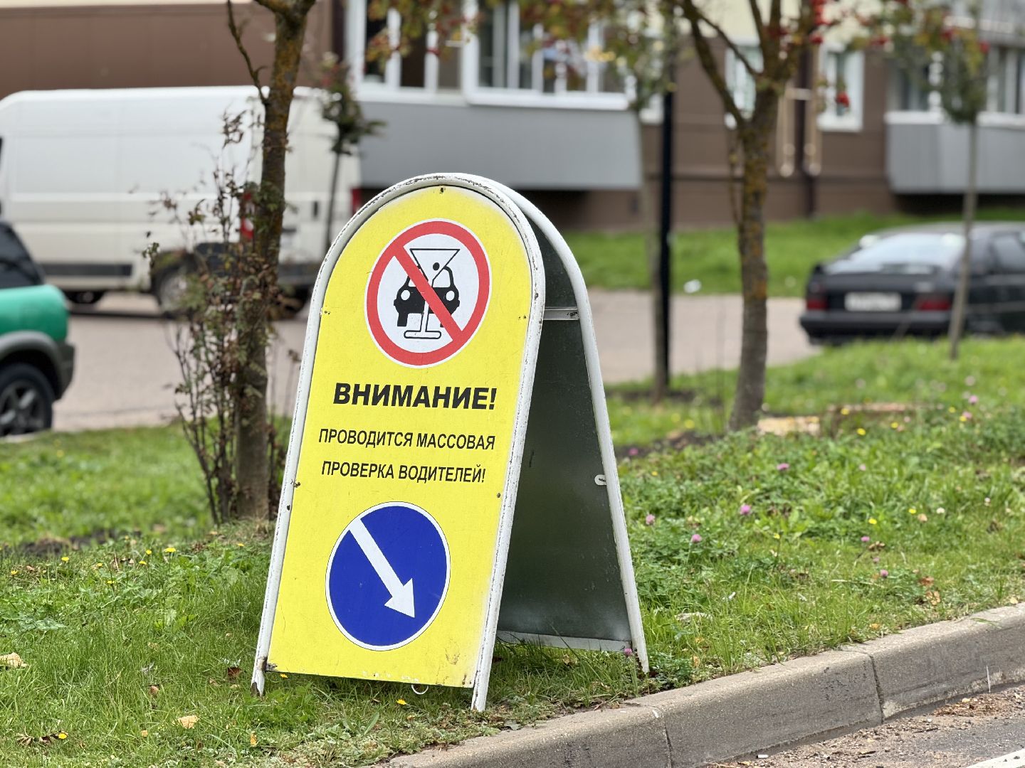 шаховская, рейд, рейд детское кресло,