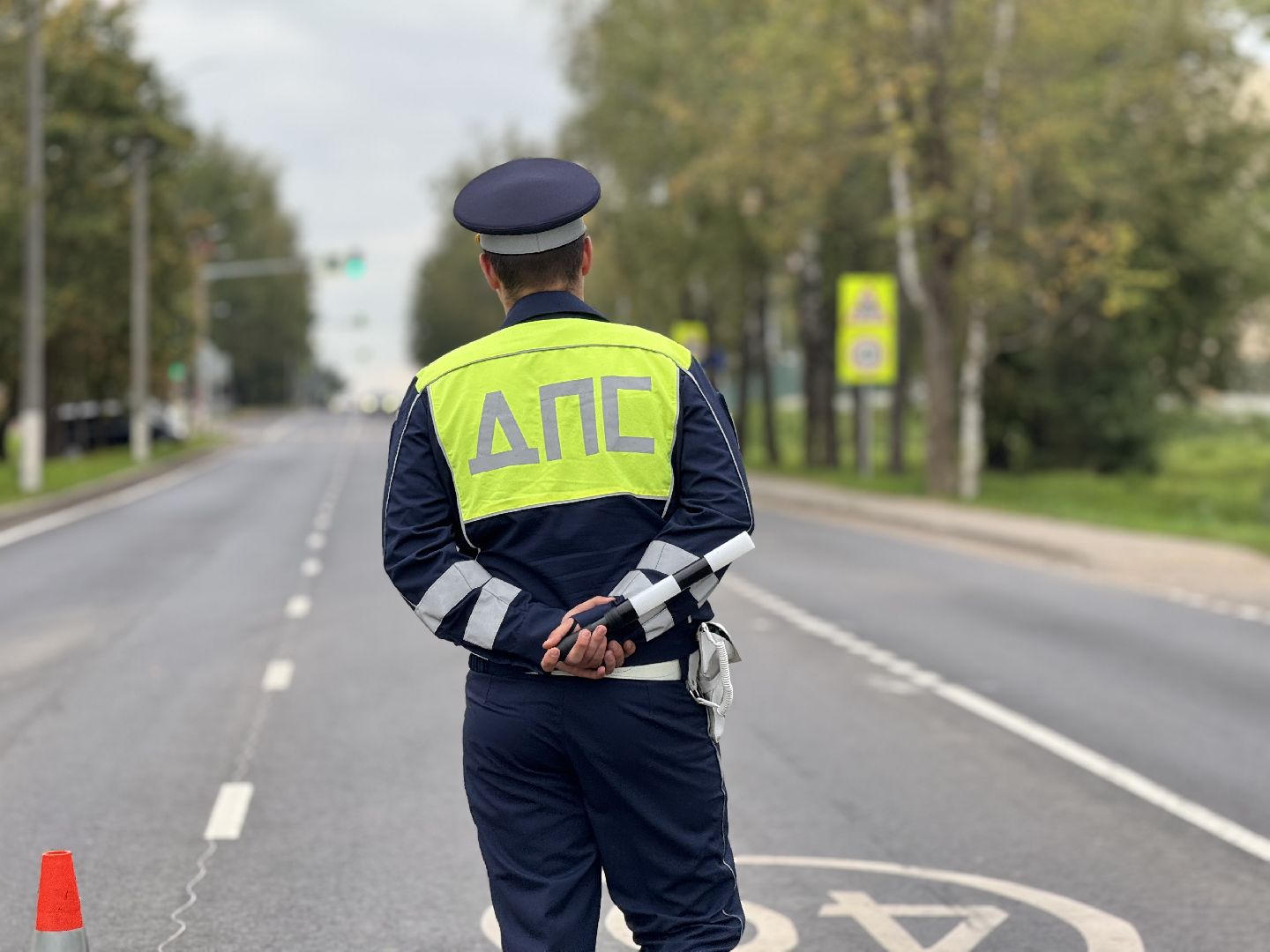 шаховская, рейд, рейд детское кресло,