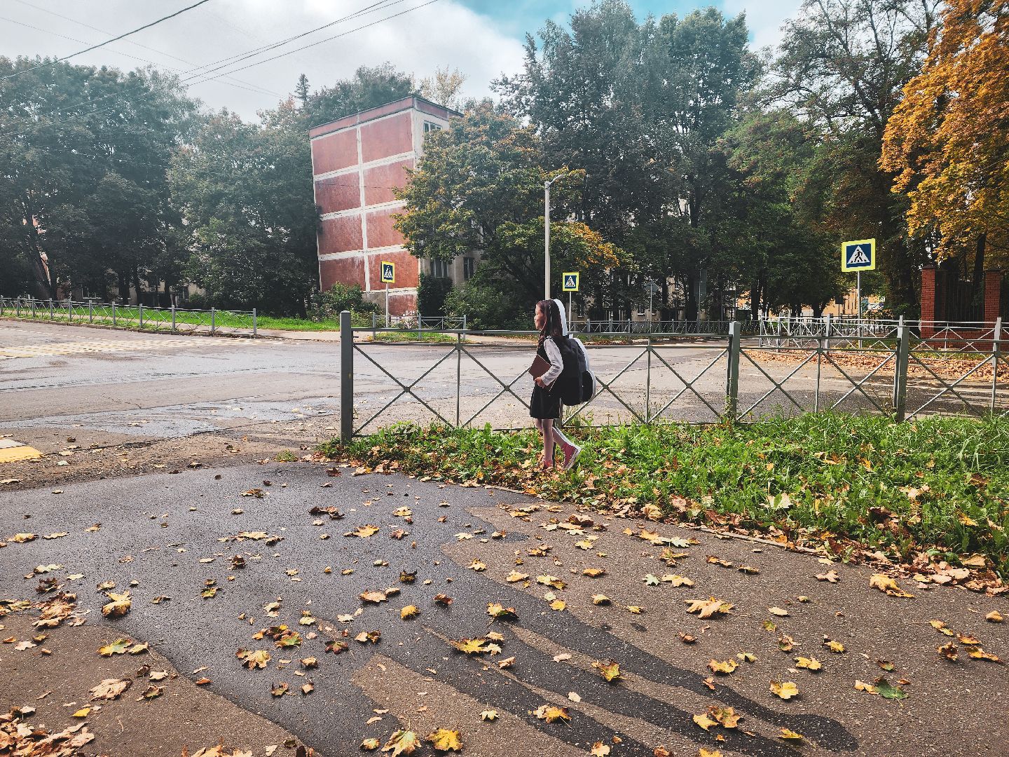 пущино, серпухов, минтранс,