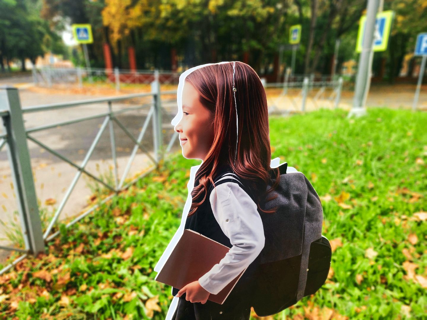 пущино, серпухов, минтранс,