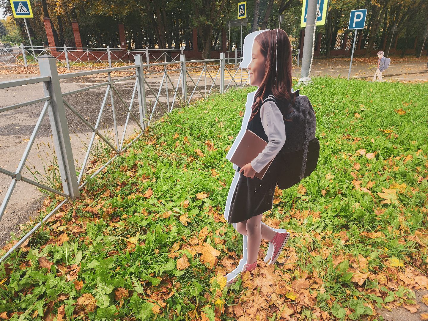 пущино, серпухов, минтранс,