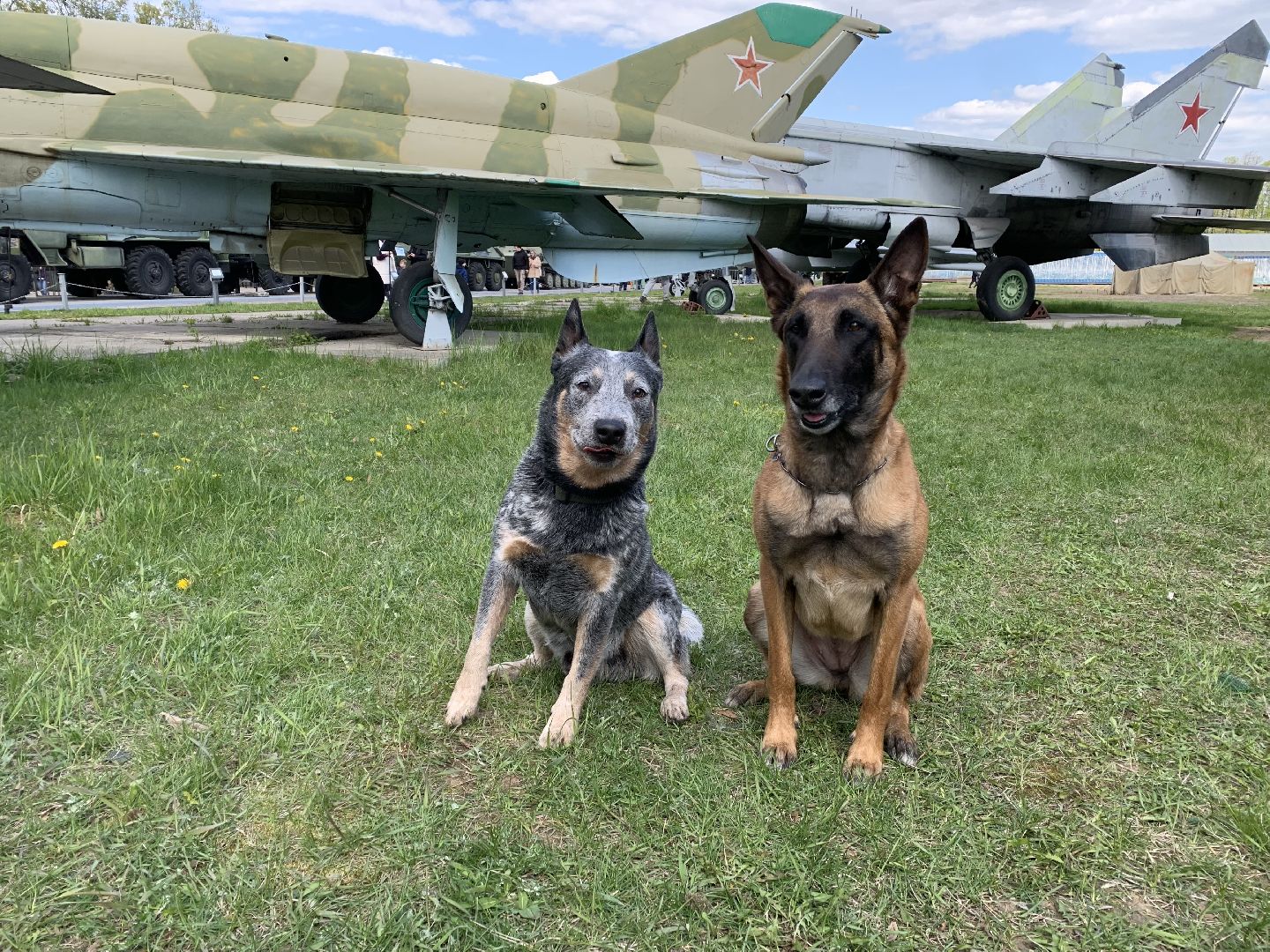 День Победы, Красногорск