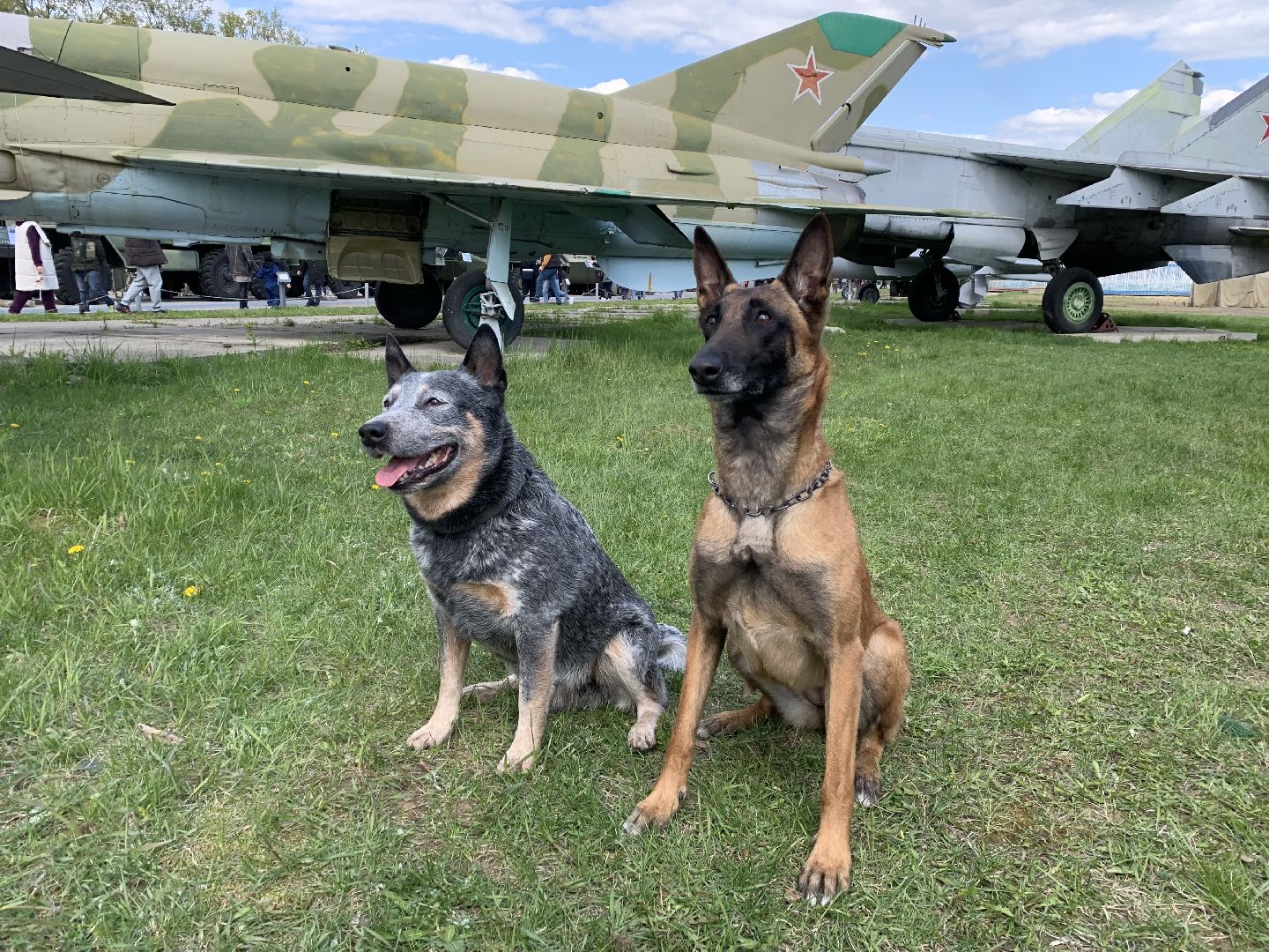 День Победы, Красногорск