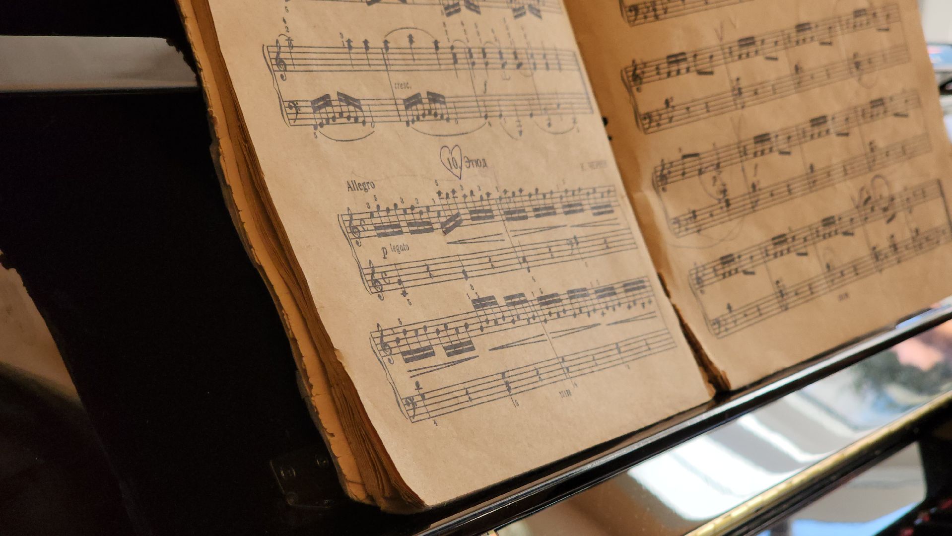 кашира, образование, музыка, детская школа искусств, молодой педагог, фортепиано,