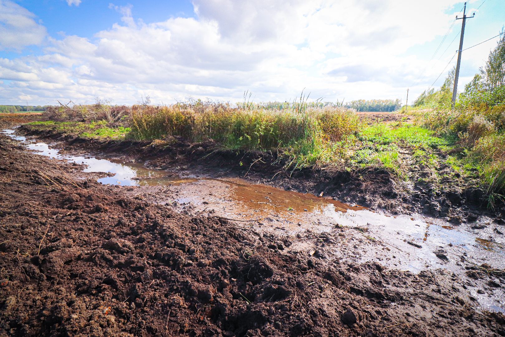 клин, общество, экономика, сельское хозяйство, картофель, новые поля,