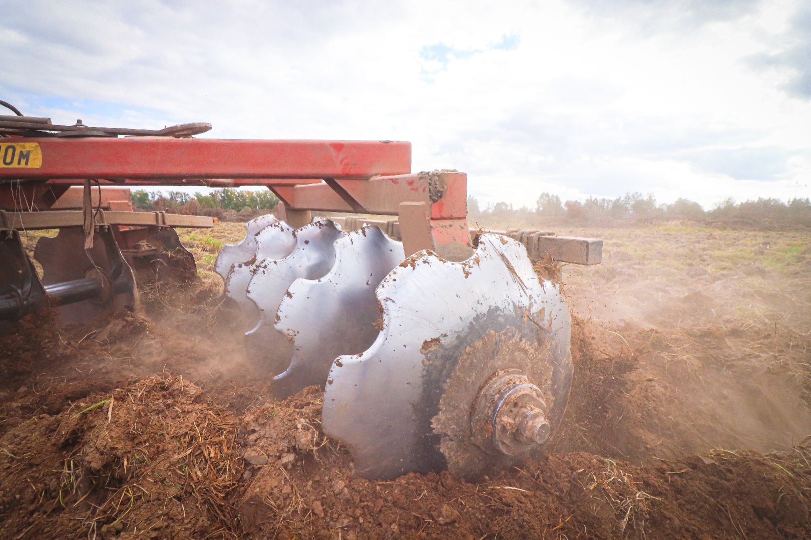 клин, общество, экономика, сельское хозяйство, картофель, новые поля,