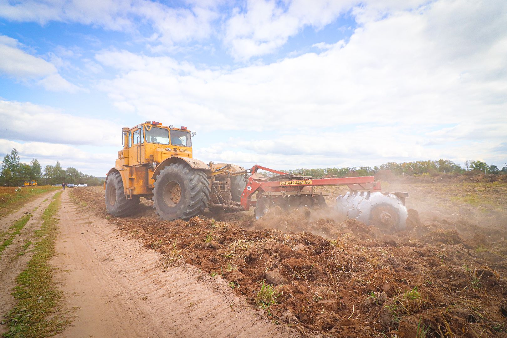 клин, общество, экономика, сельское хозяйство, картофель, новые поля,