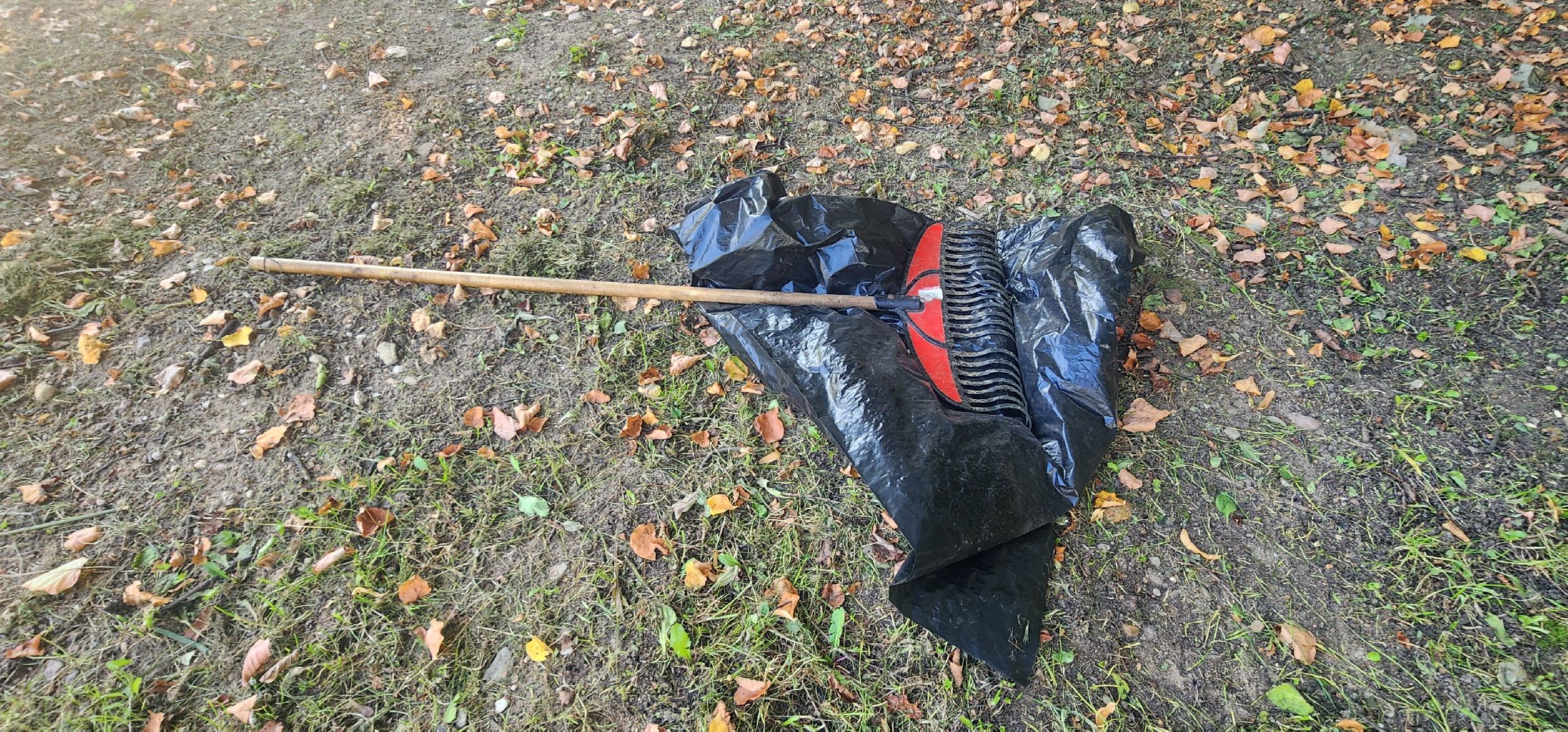 Истра, Парк, Благоустройство , Уборка,