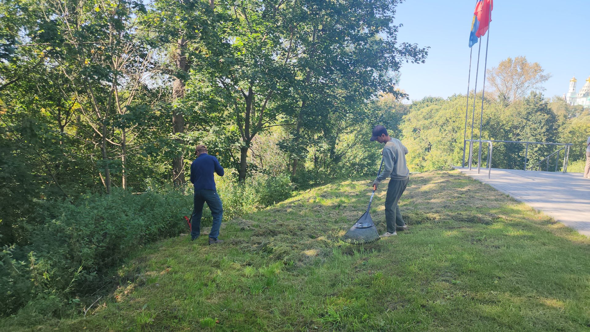 Истра, Парк, Благоустройство , Уборка,