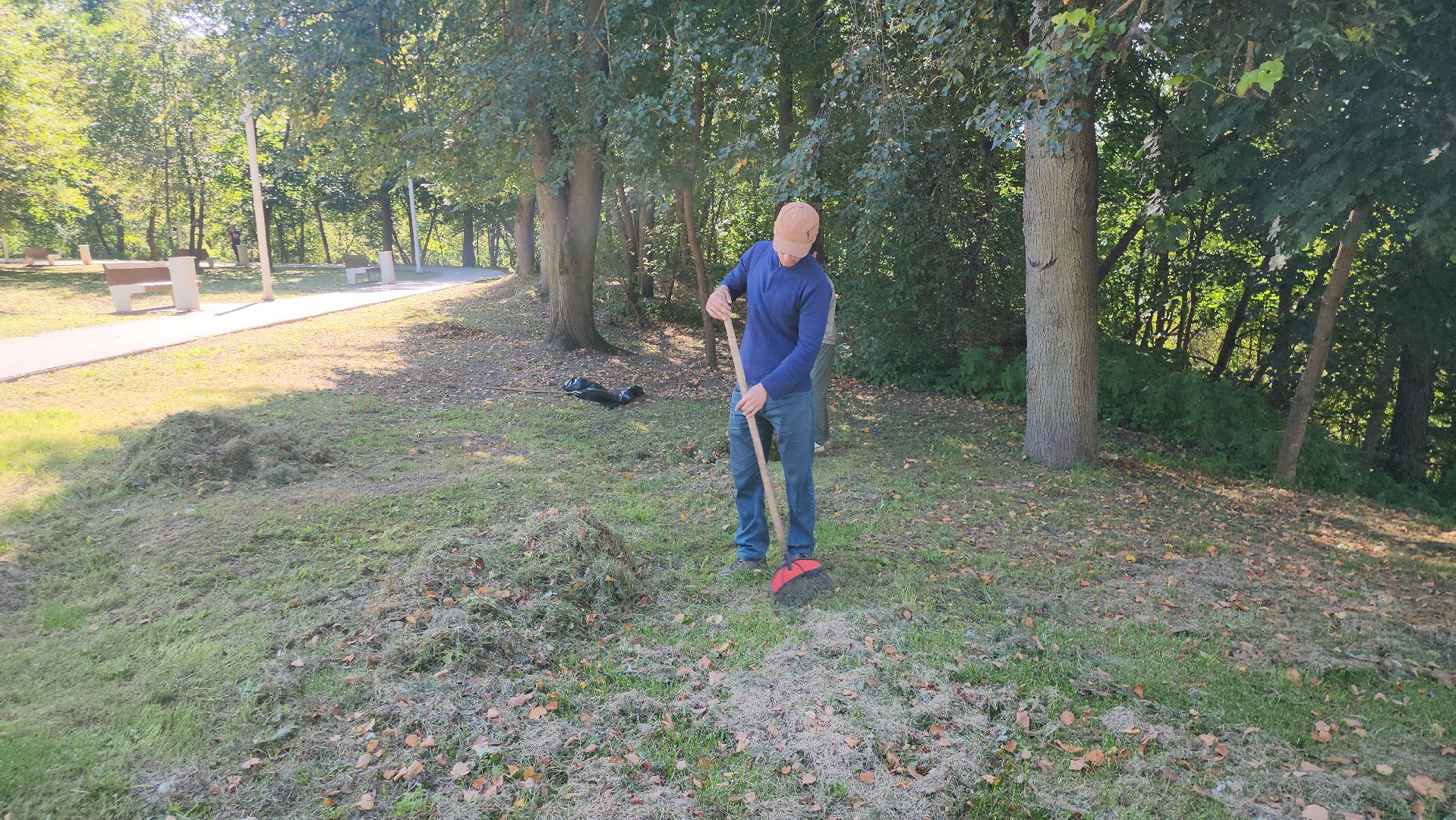 Истра, Парк, Благоустройство , Уборка,