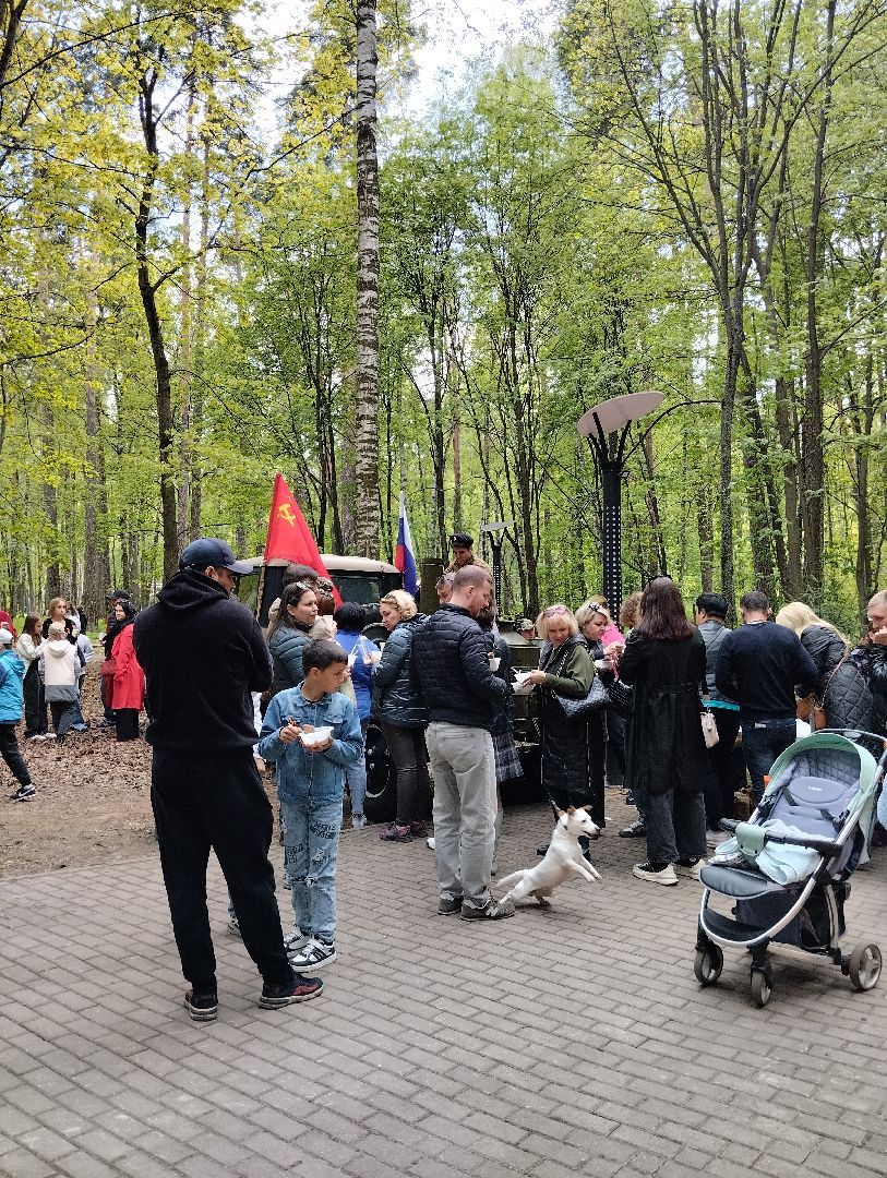 9 мая, День Победы, Центральный парк, Ногинск, Богородский городской округ