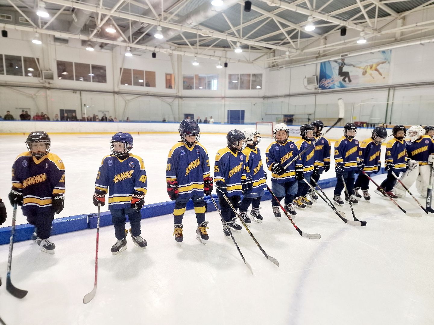 воскресенск, хоккей,   олимпийский чемпион,