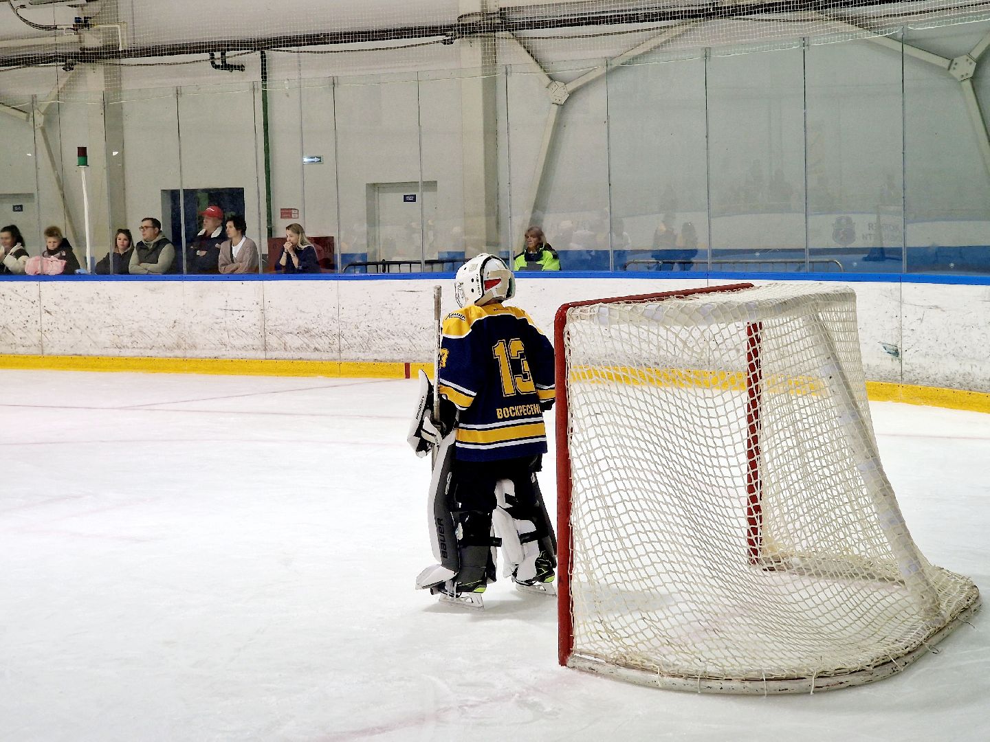 воскресенск, хоккей,   олимпийский чемпион,