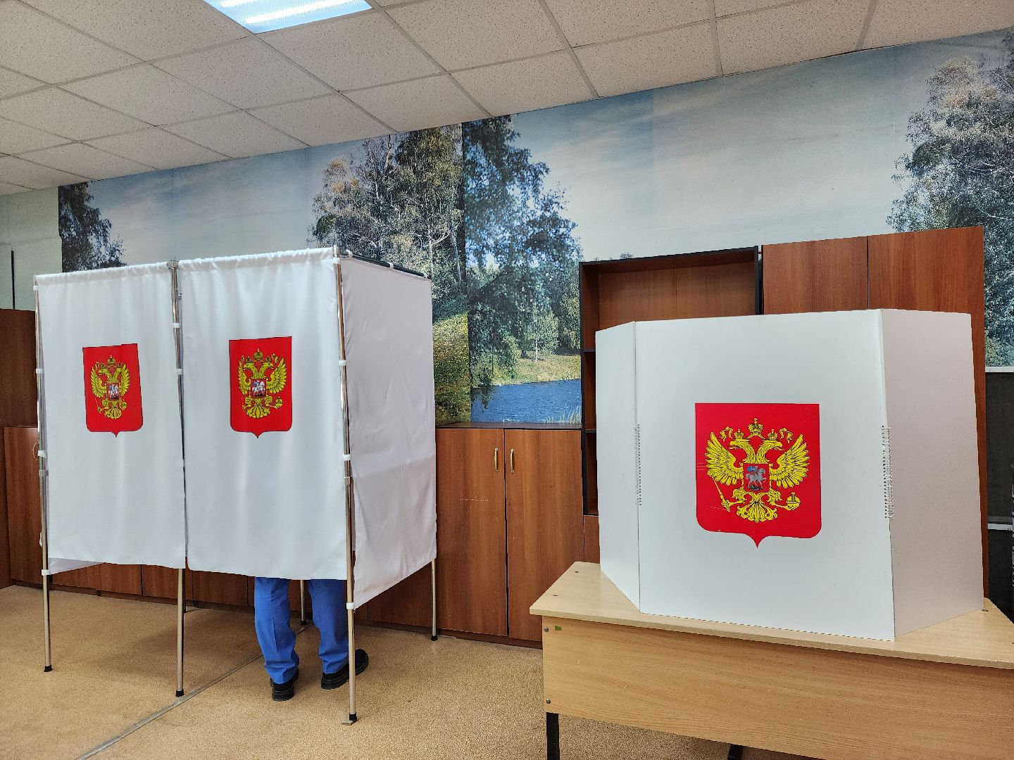 электросталь , жители, выборы, голосование, совет депутатов,