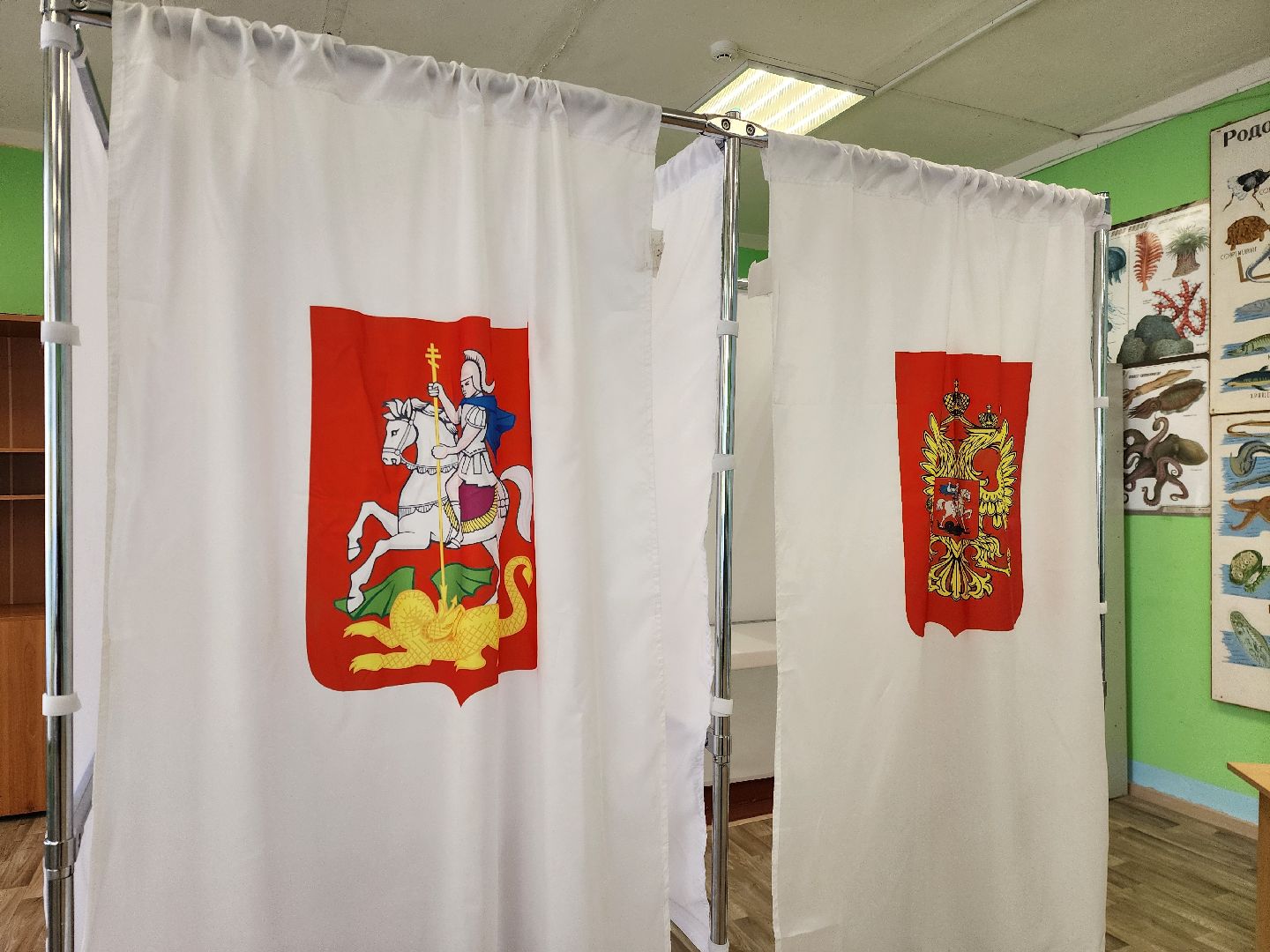 электросталь , жители, выборы, голосование, совет депутатов,