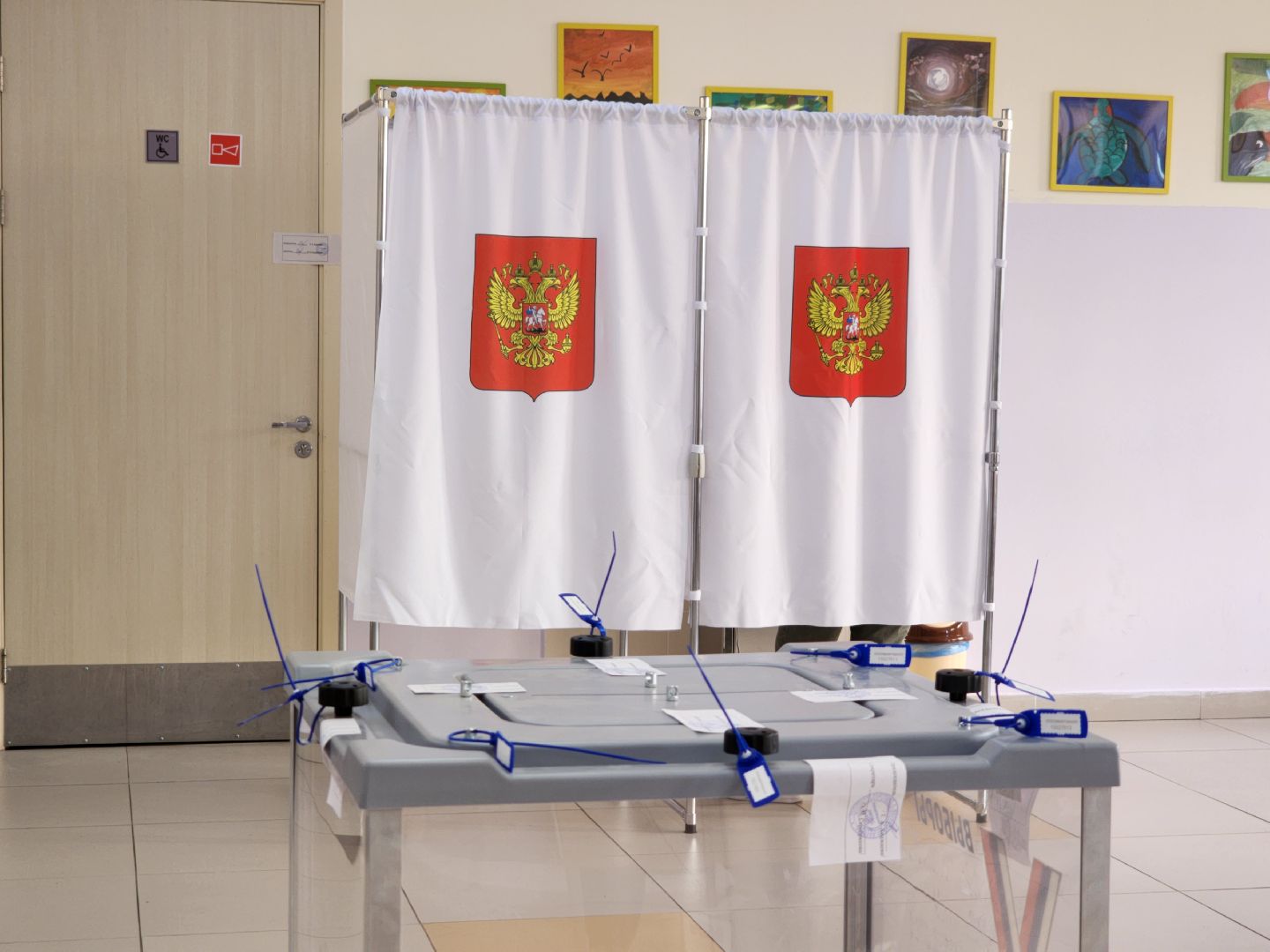 Подольск, Выборы, Избиратели, Голосование,уик,