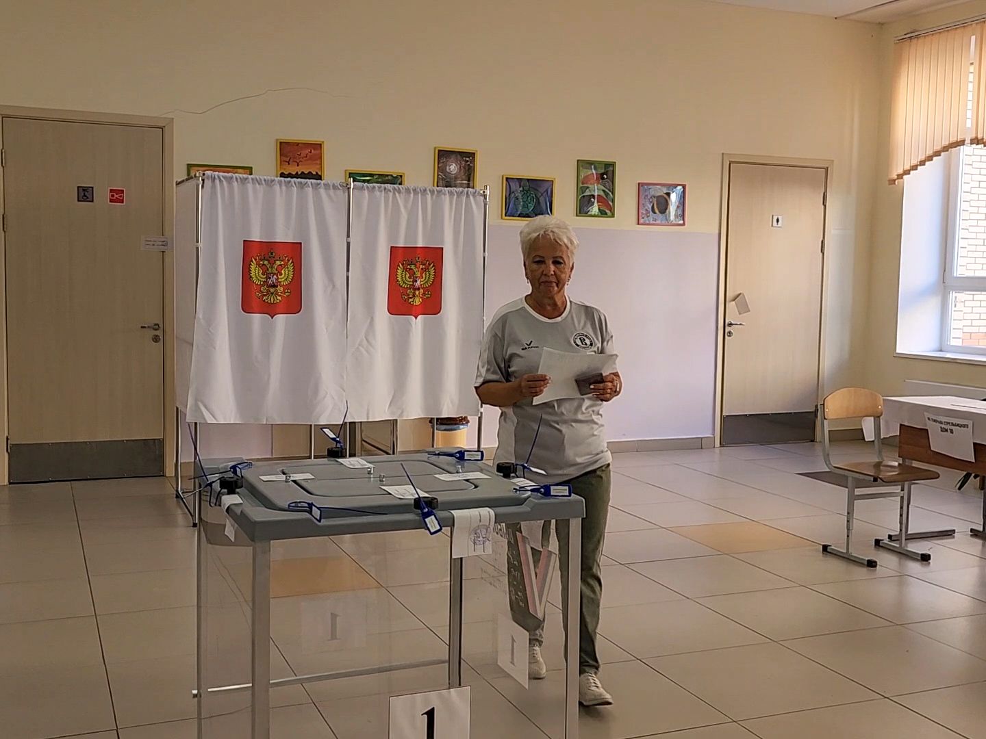 Подольск, Выборы, Избиратели, Голосование,уик,