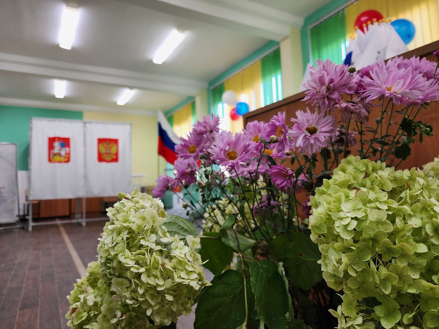 электросталь , жители, выборы, голосование, совет депутатов,