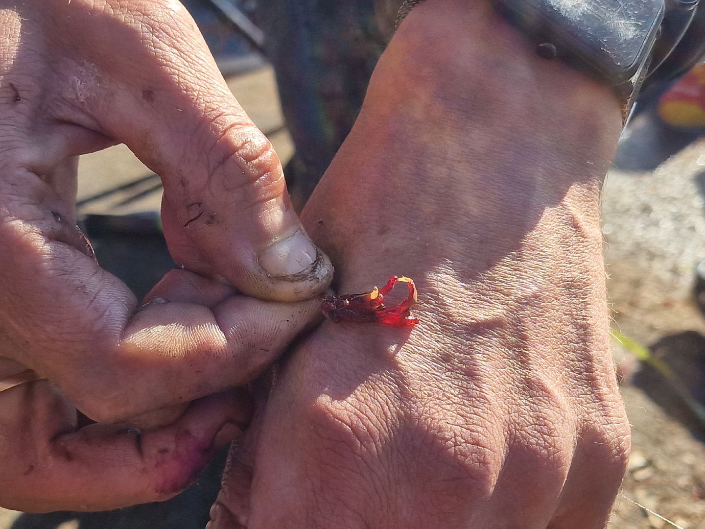 воскресенск, рыбалка, москва-река,