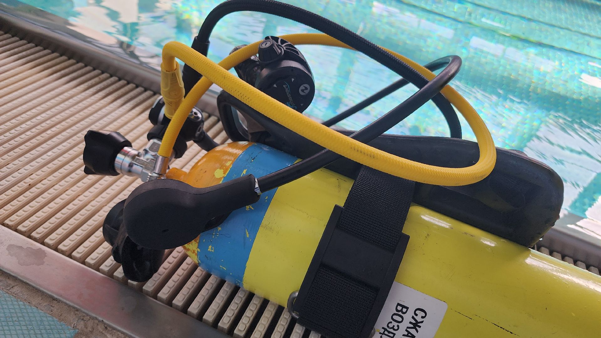 волоколамск, подводный спорт, плавание, тренер,