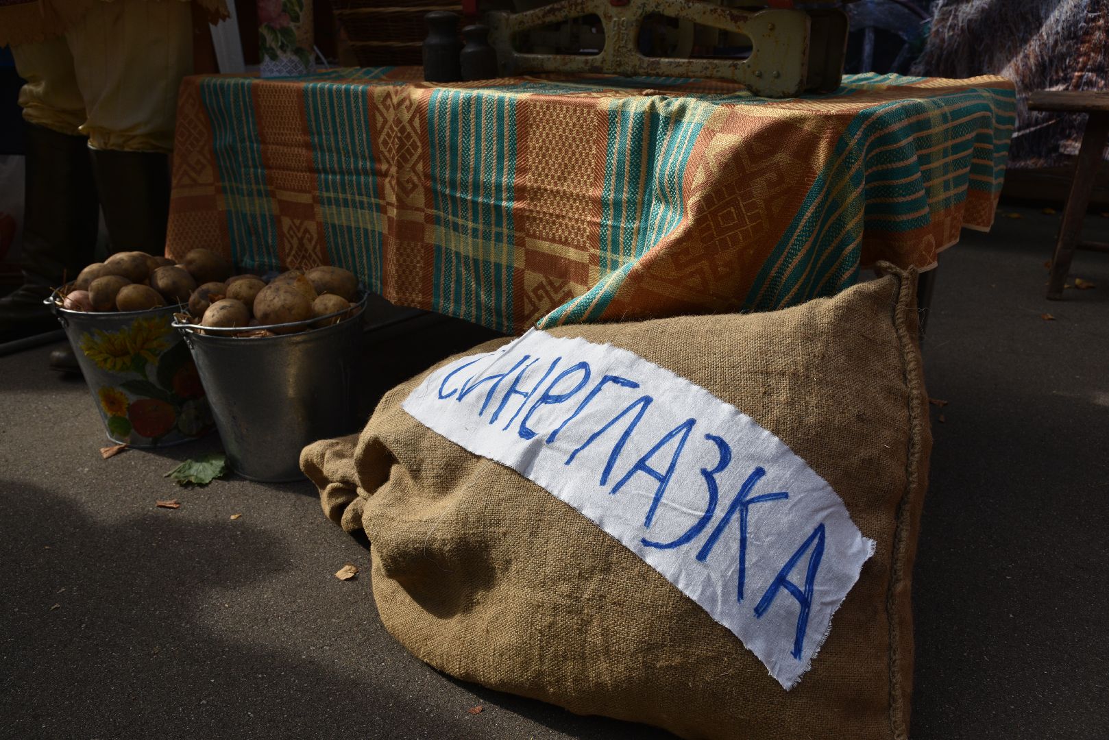 лотошино, лотошинский парк, картофельный разгуляй, праздник, парки подмосковья,