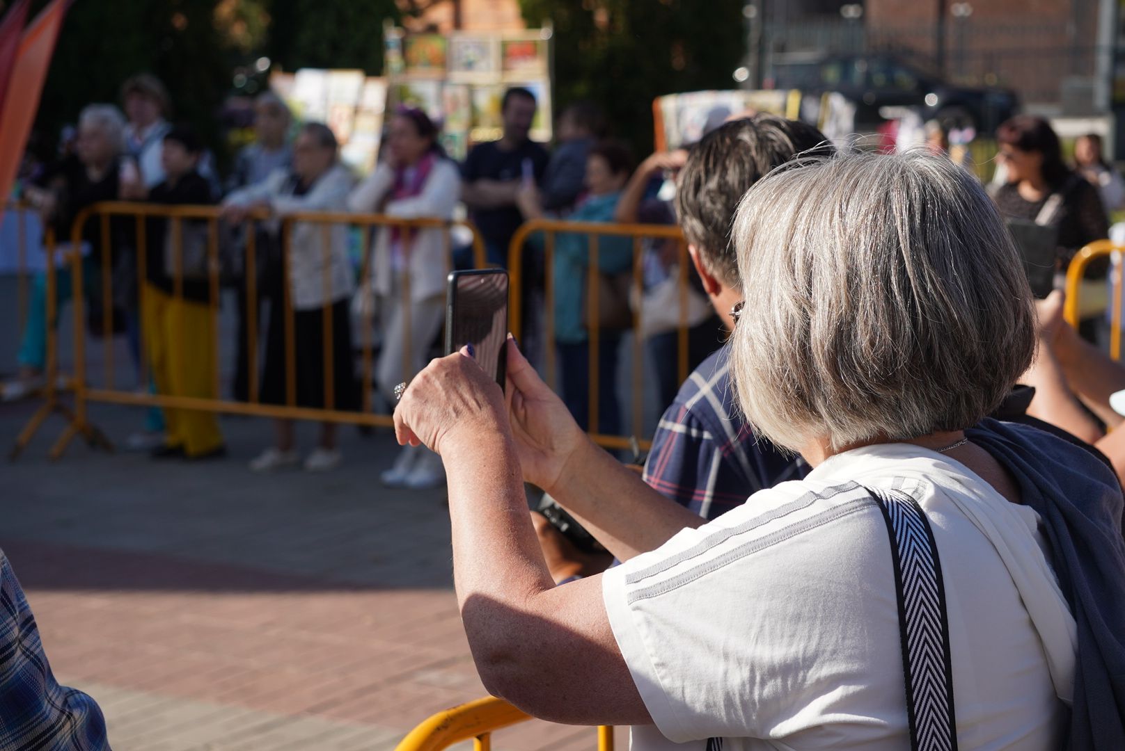 Павловский Посад , Фестиваль,  Общество ,