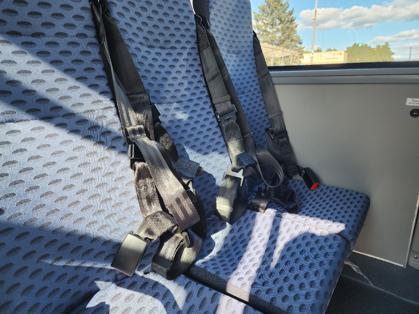 Черноголовка, Школьный автобус, Образование,